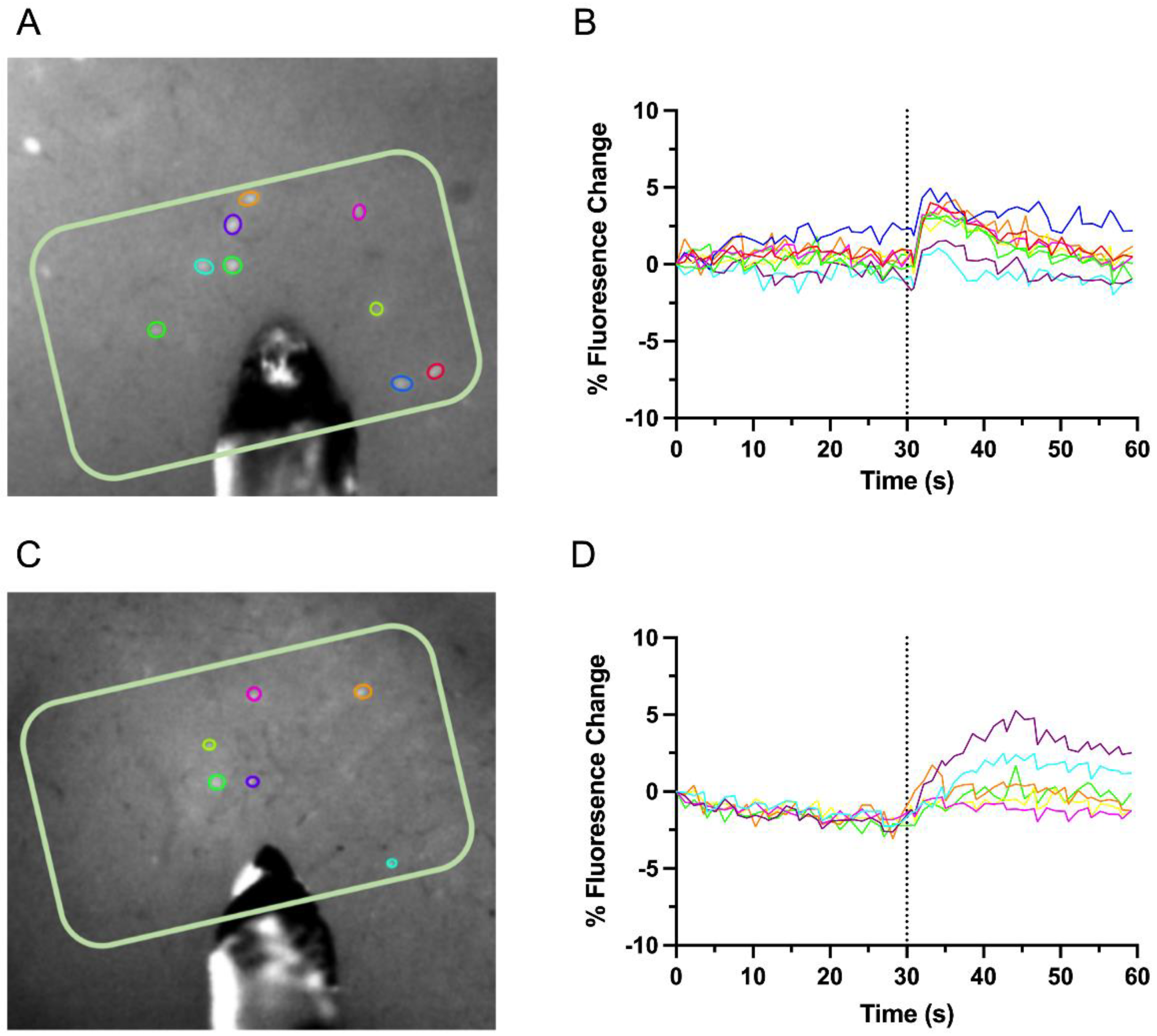 Biosensors 12 00383 g002 Biosensors 12 00383 g002