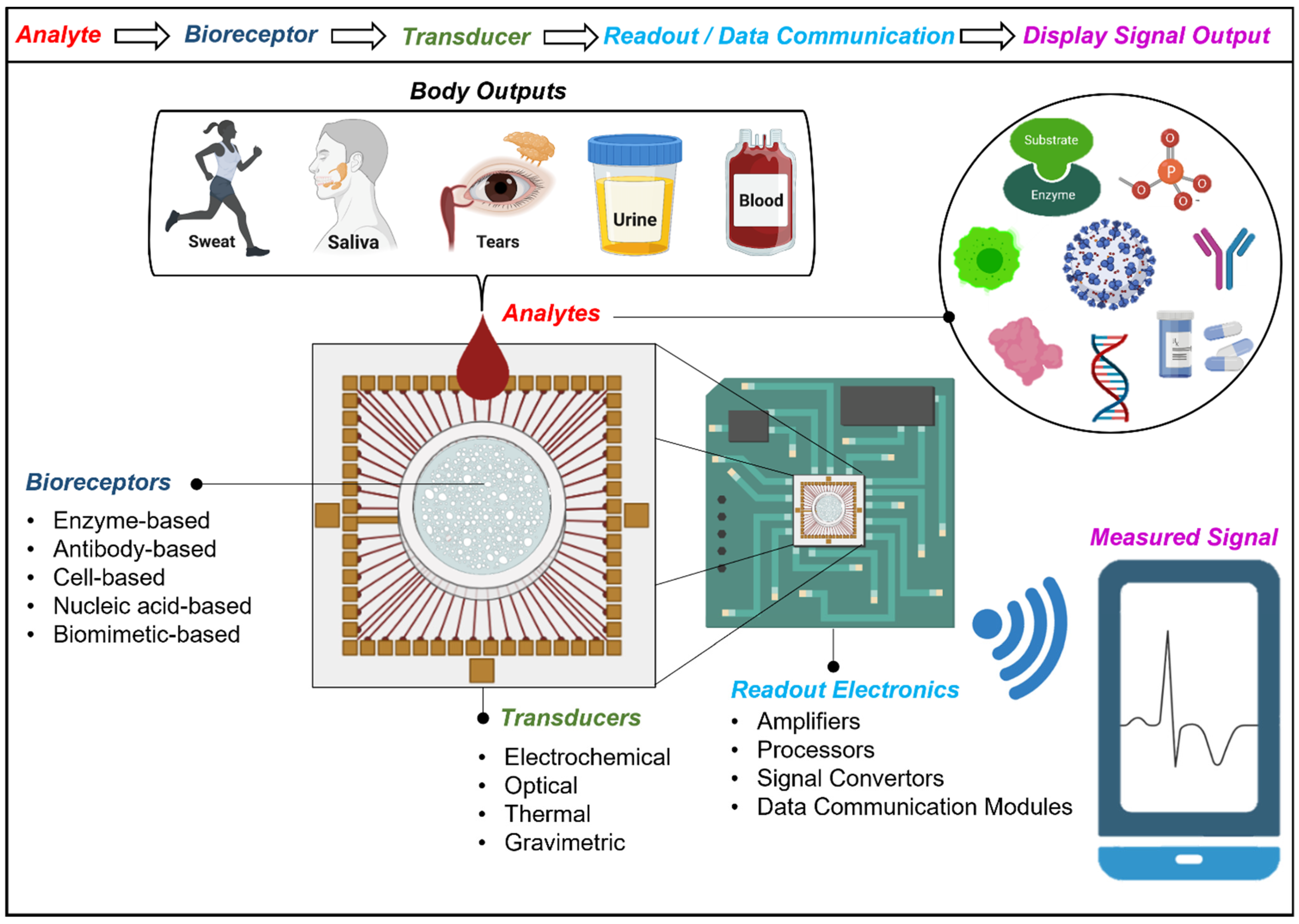 Biosensors 12 00385 g001