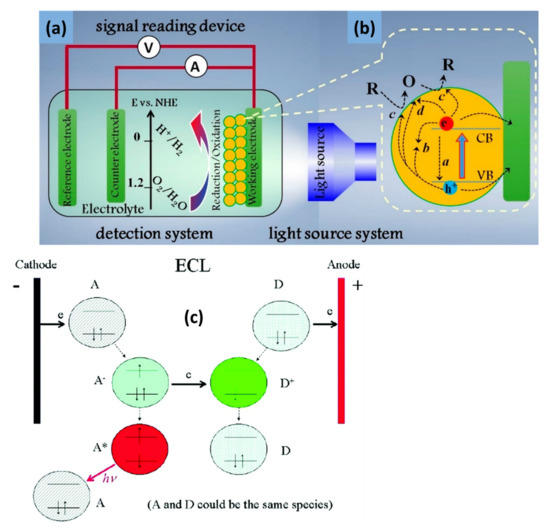 Biosensors Free FullText Functionalization of 2D MoS2 Nanosheets