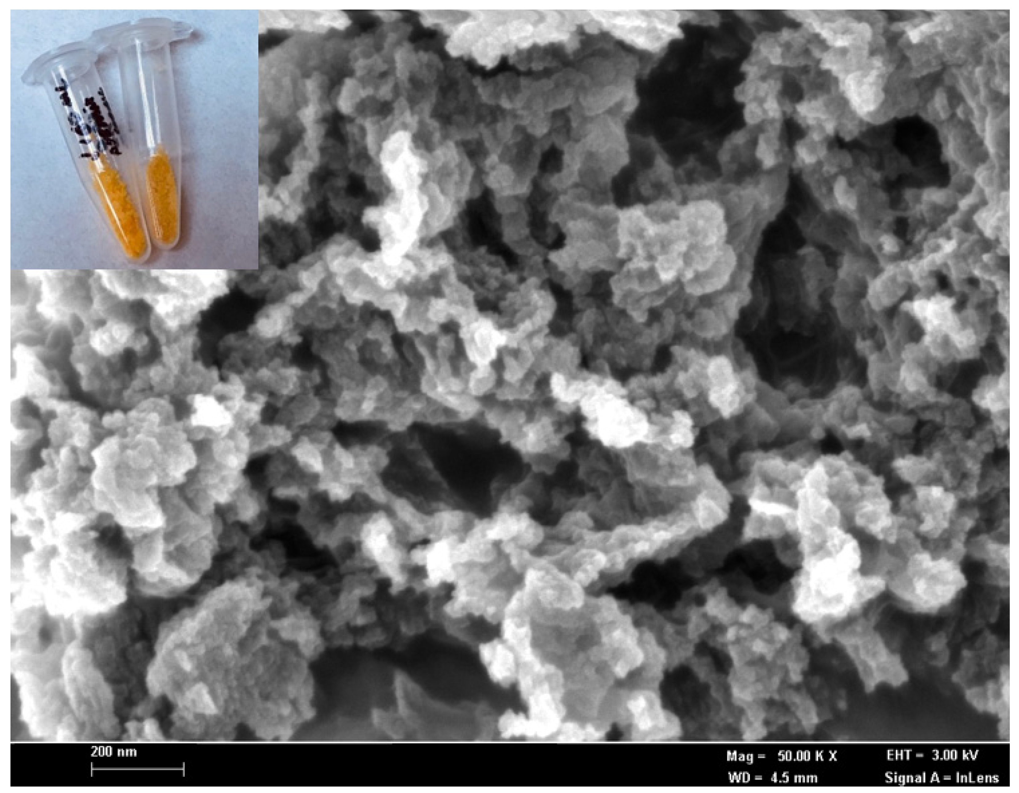 Biosensors 12 00388 g001