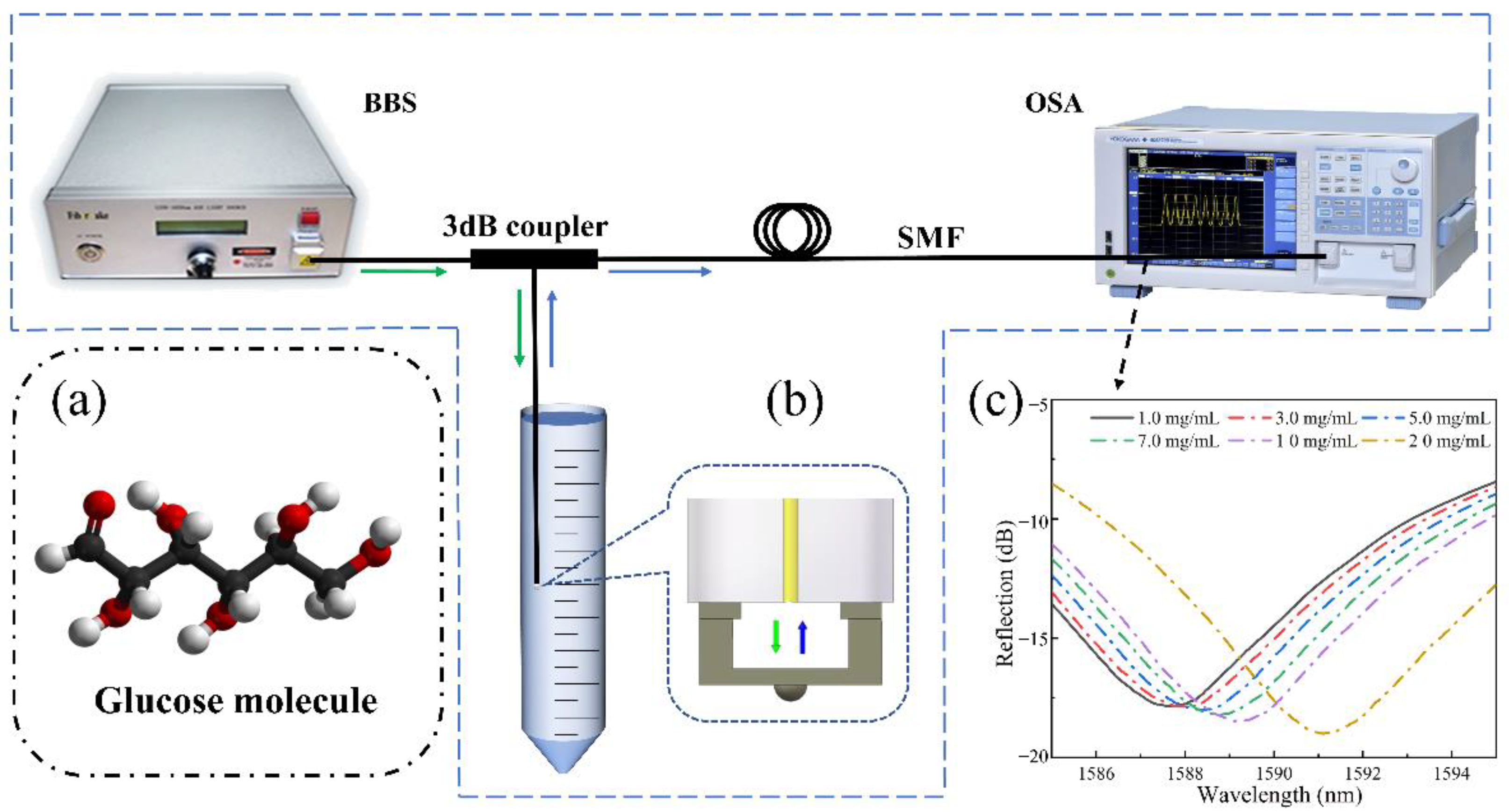Biosensors 12 00391 g006
