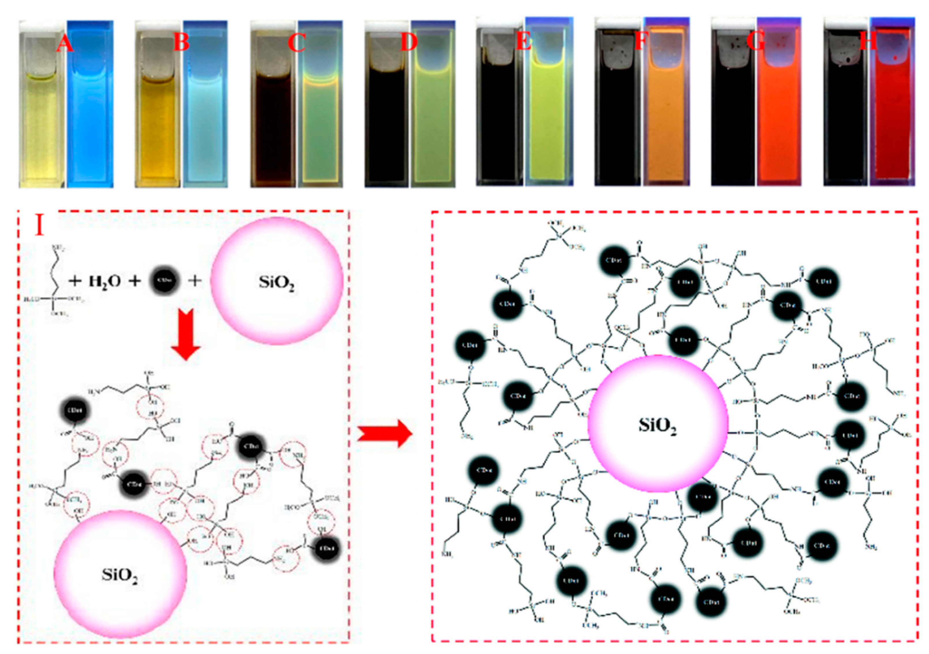 Biosensors 12 00392 g004 550