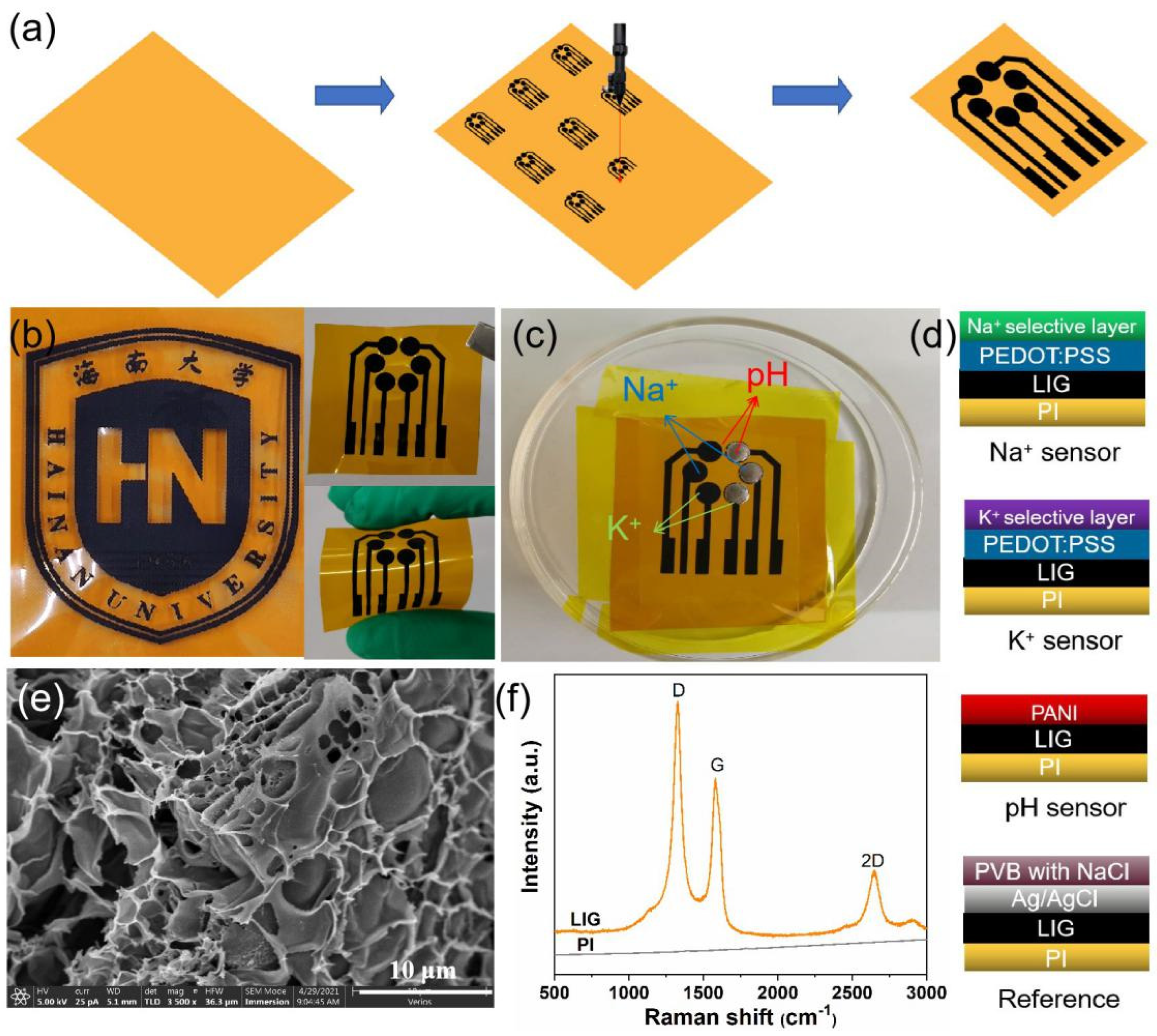 Biosensors 12 00397 g001