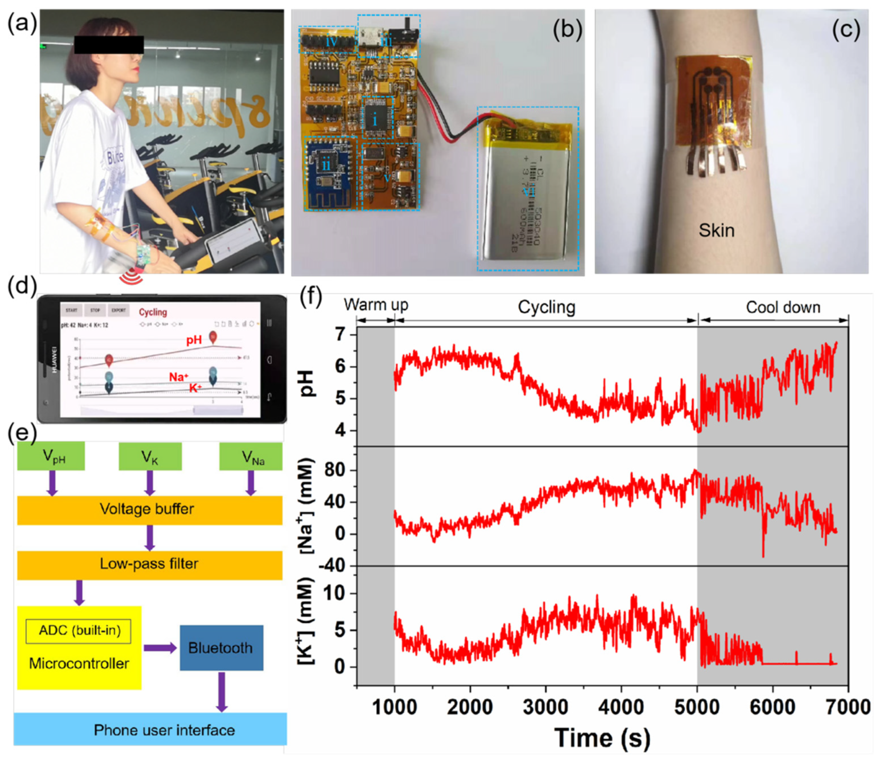 Biosensors 12 00397 g005