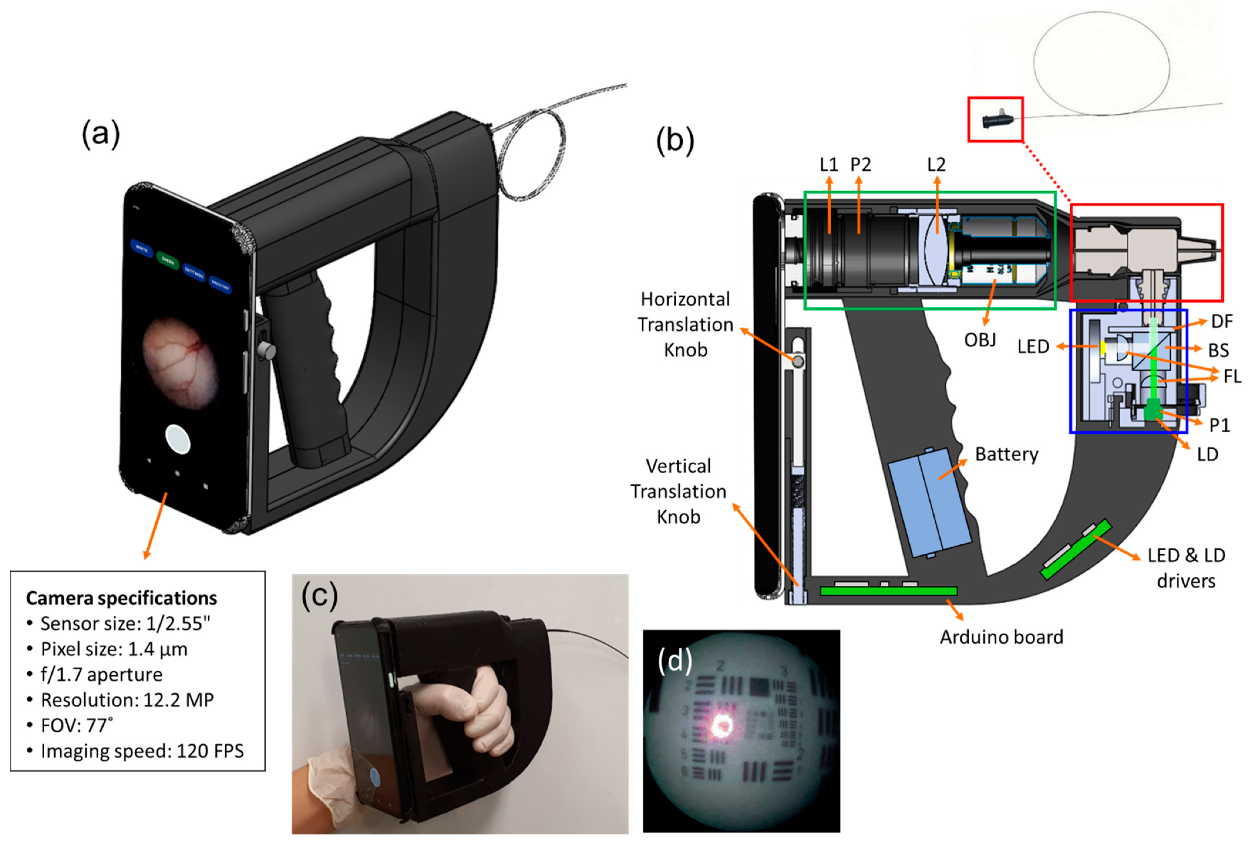 Biosensors, Free Full-Text