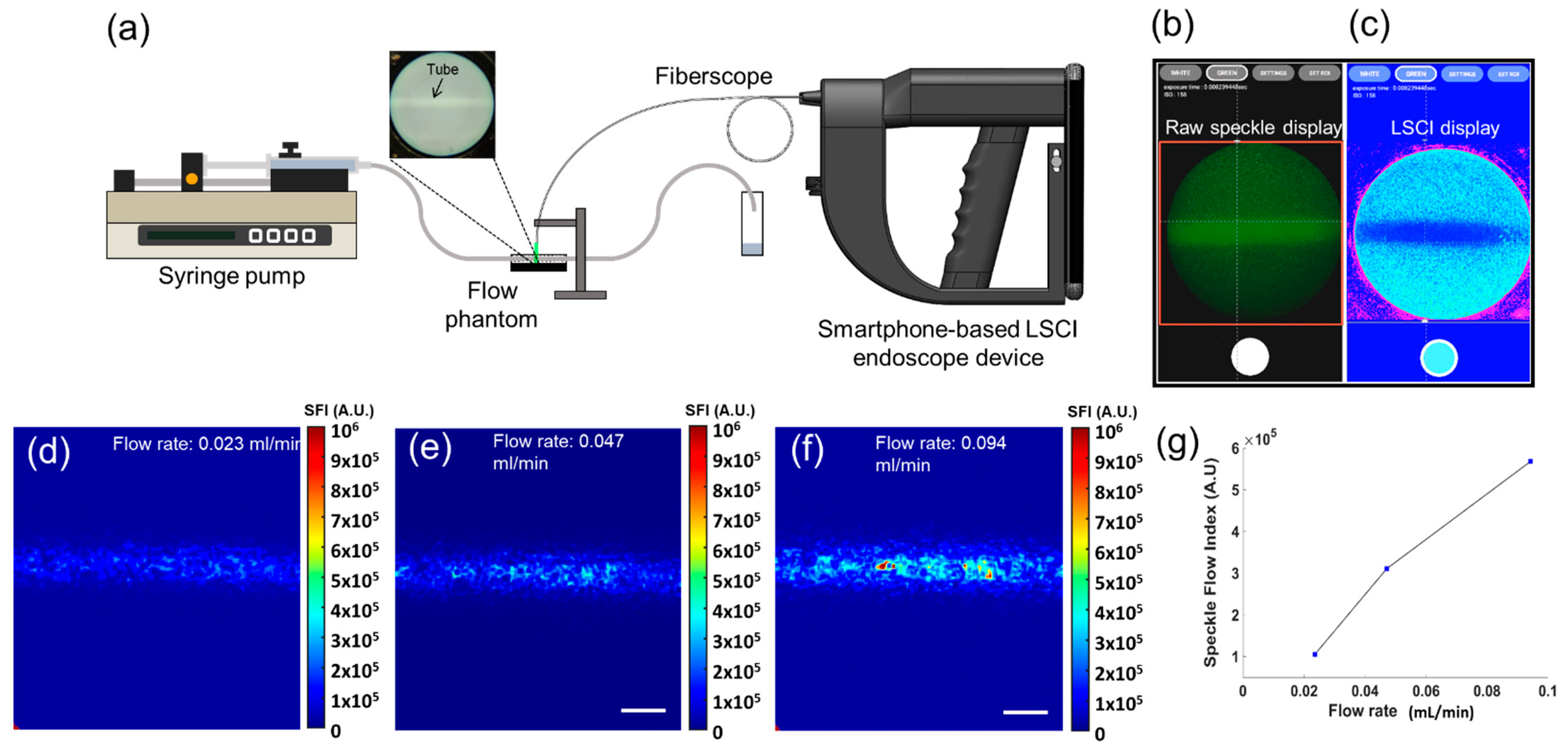 Biosensors 12 00398 g004