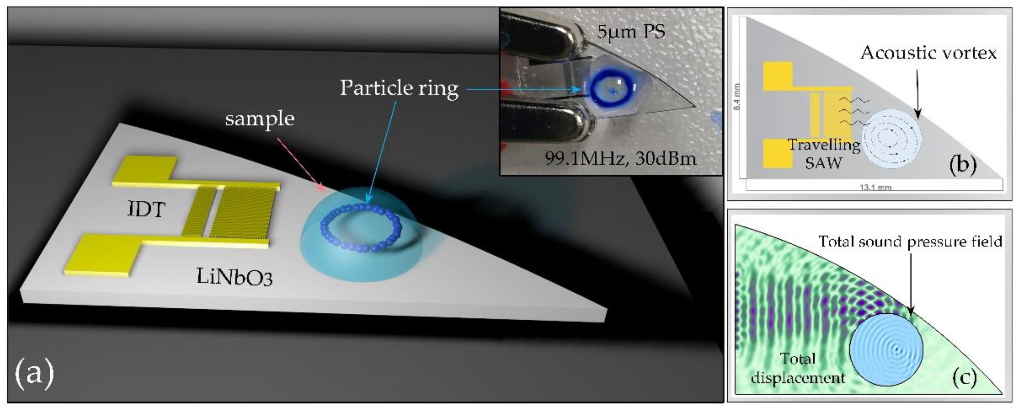 Biosensors 12 00399 g001