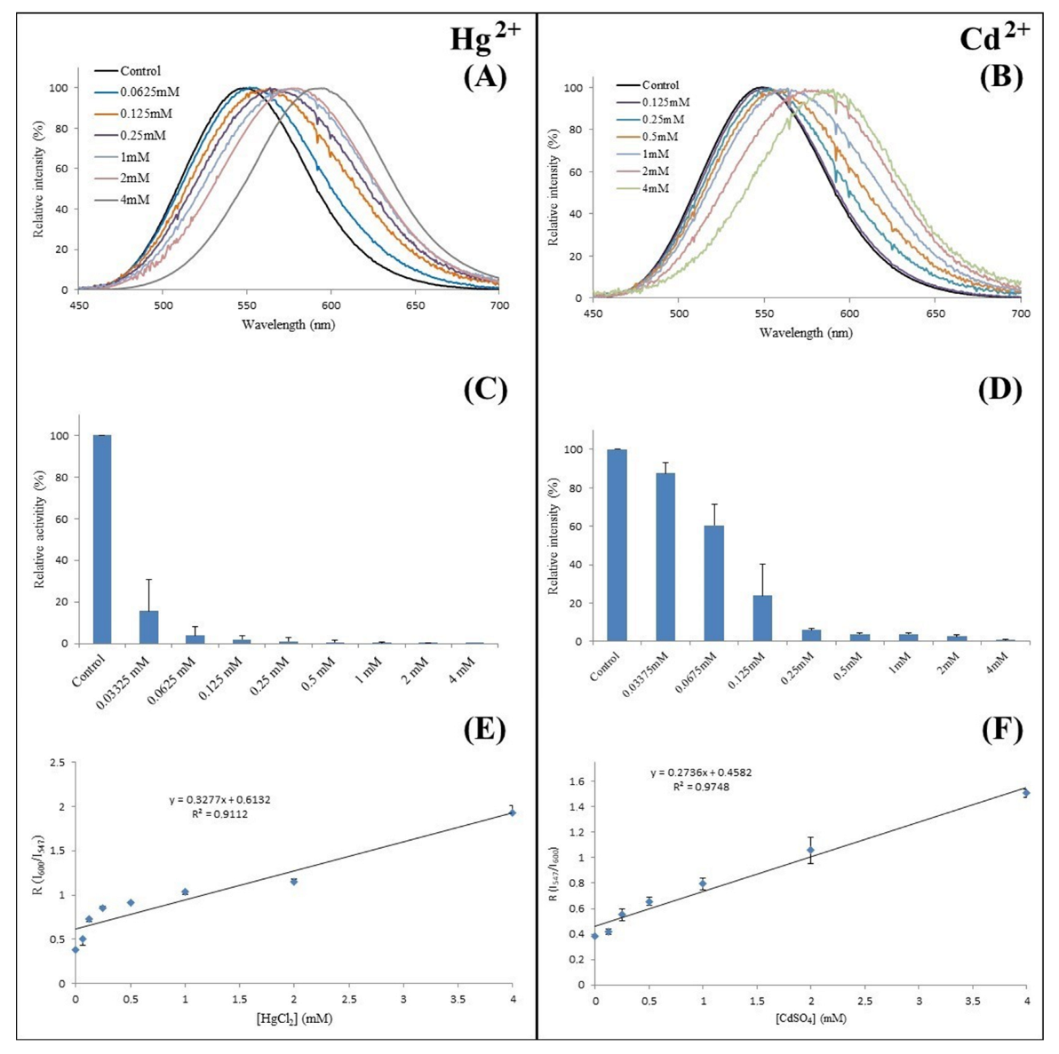 Biosensors 12 00400 g011