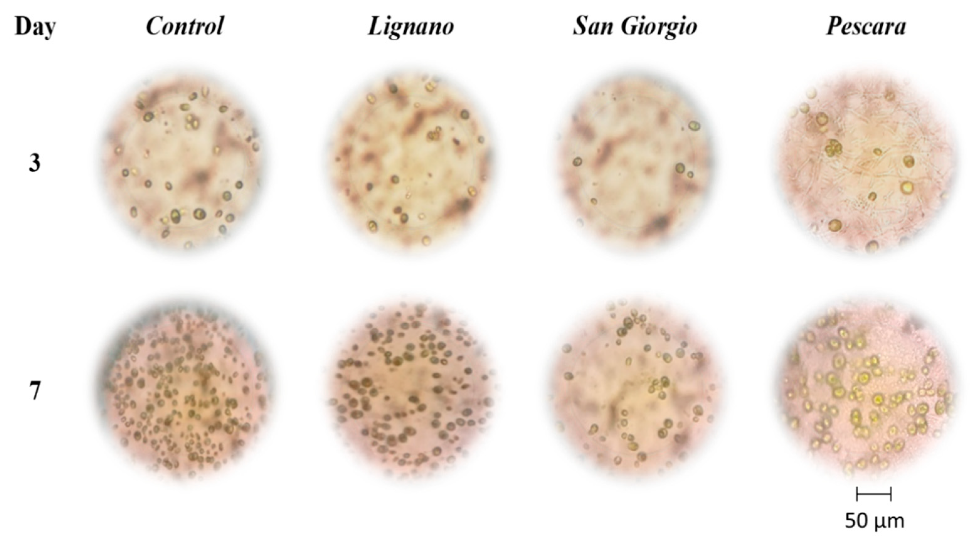 Biosensors 12 00401 g003