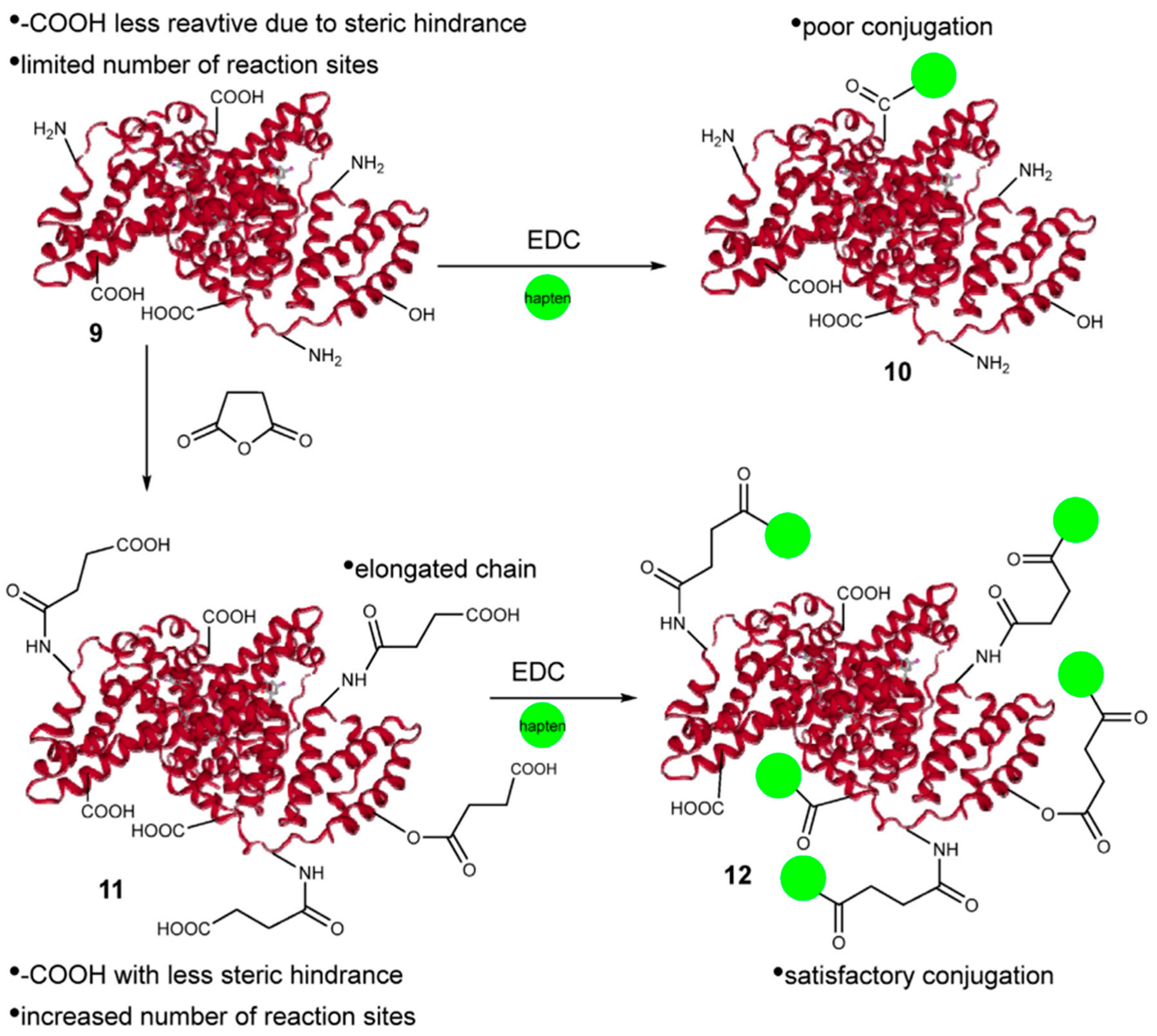 Biosensors 12 00402 g001
