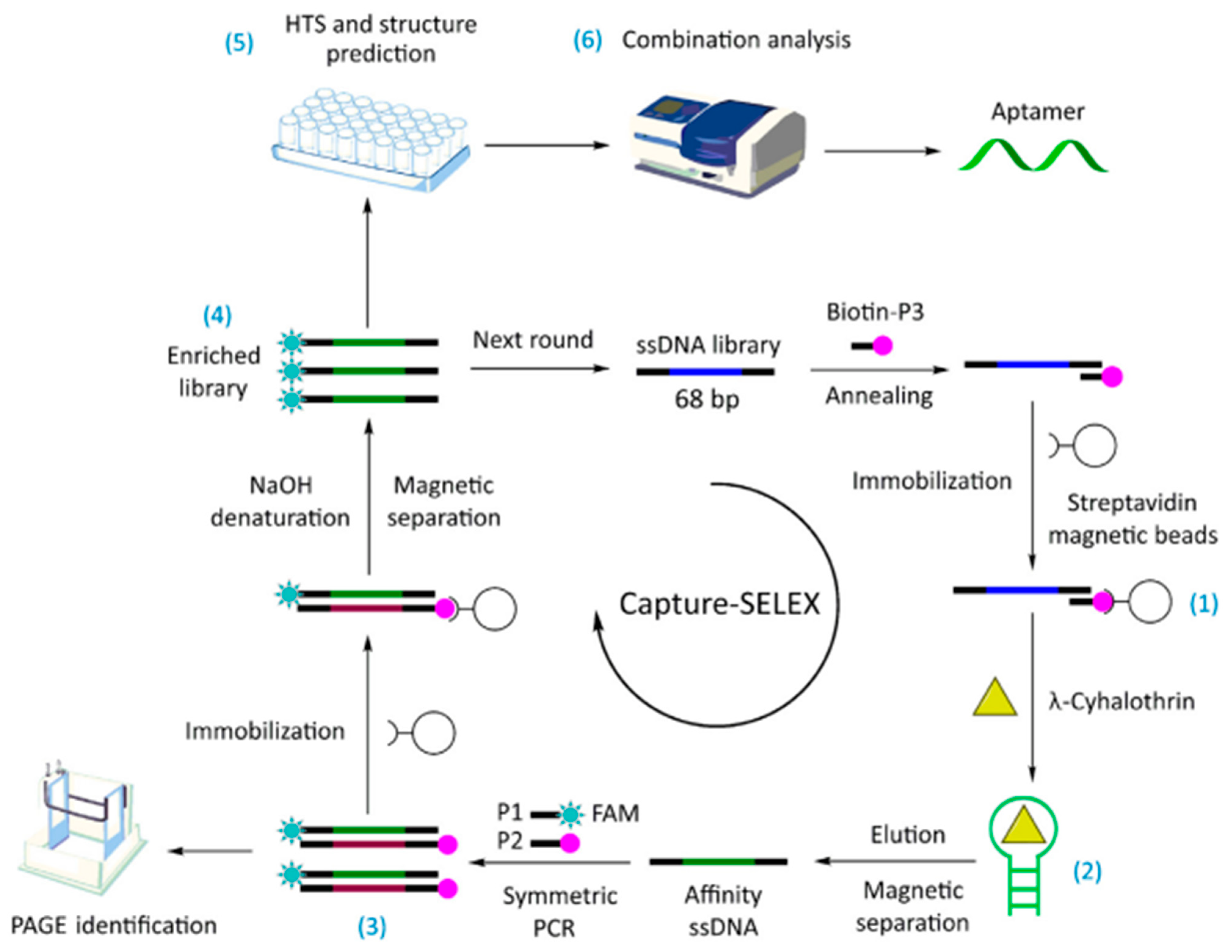 Biosensors 12 00402 g002