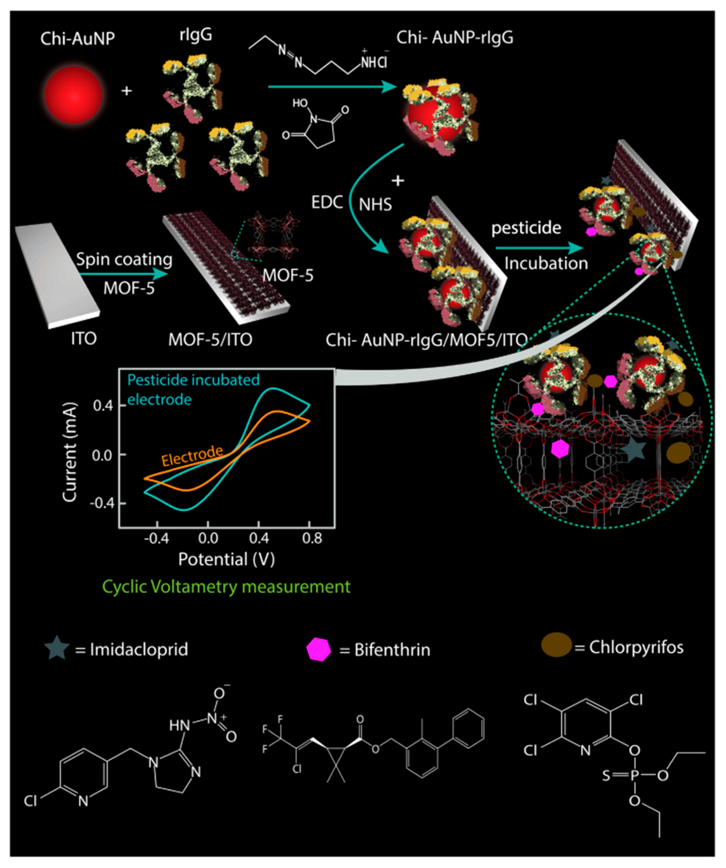 Biosensors 12 00402 g004