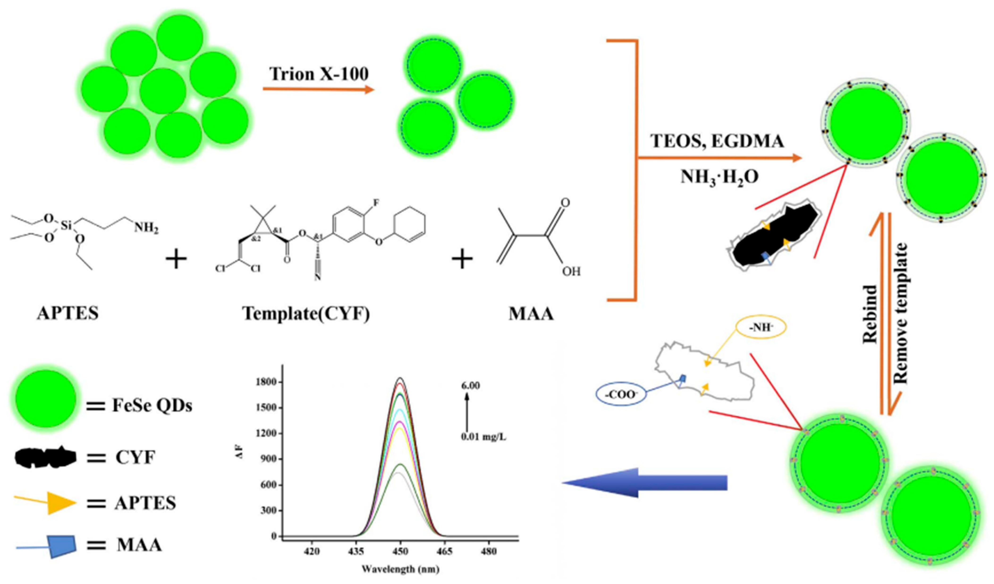 Biosensors 12 00402 g007