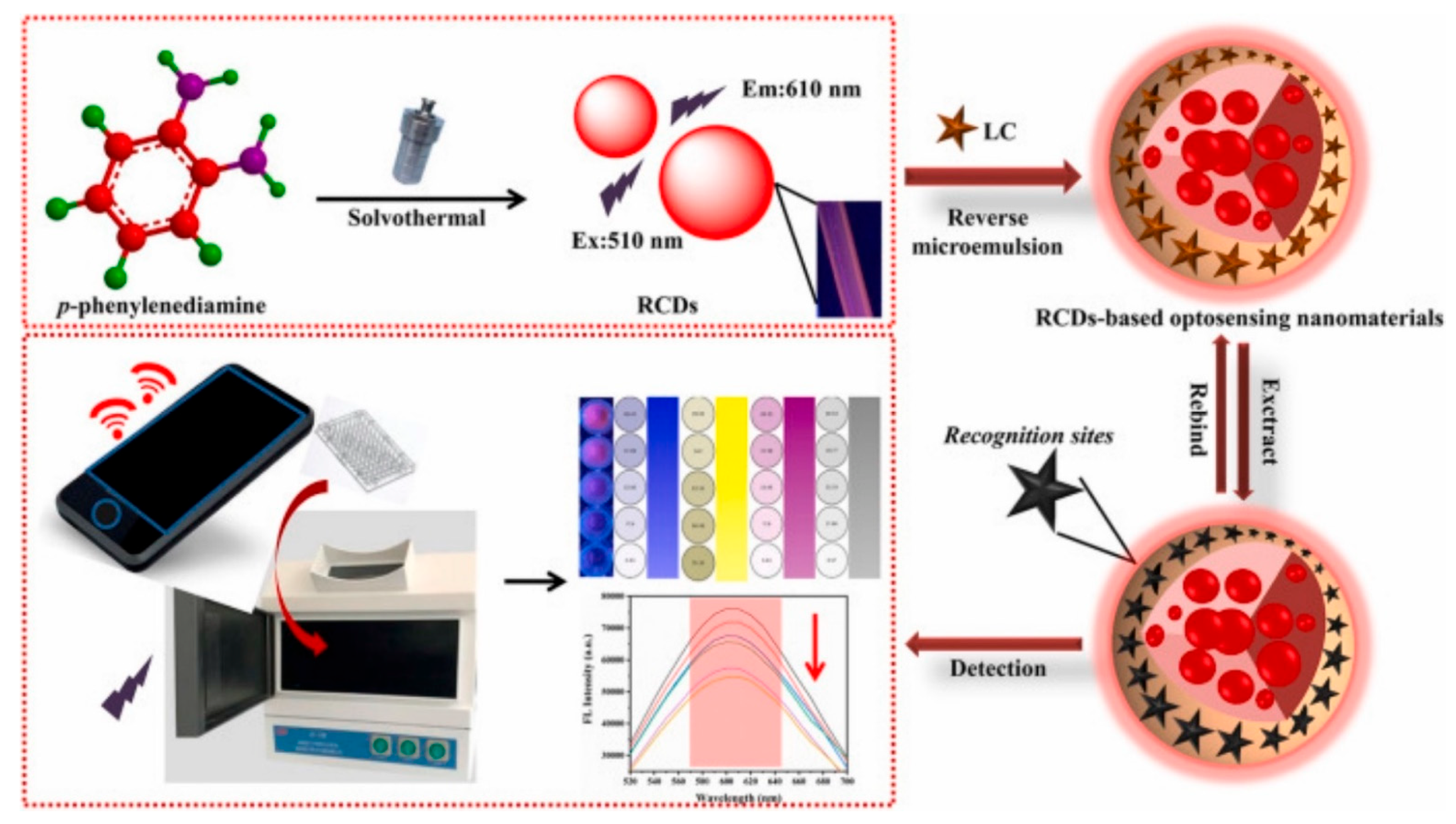 Biosensors 12 00402 g008