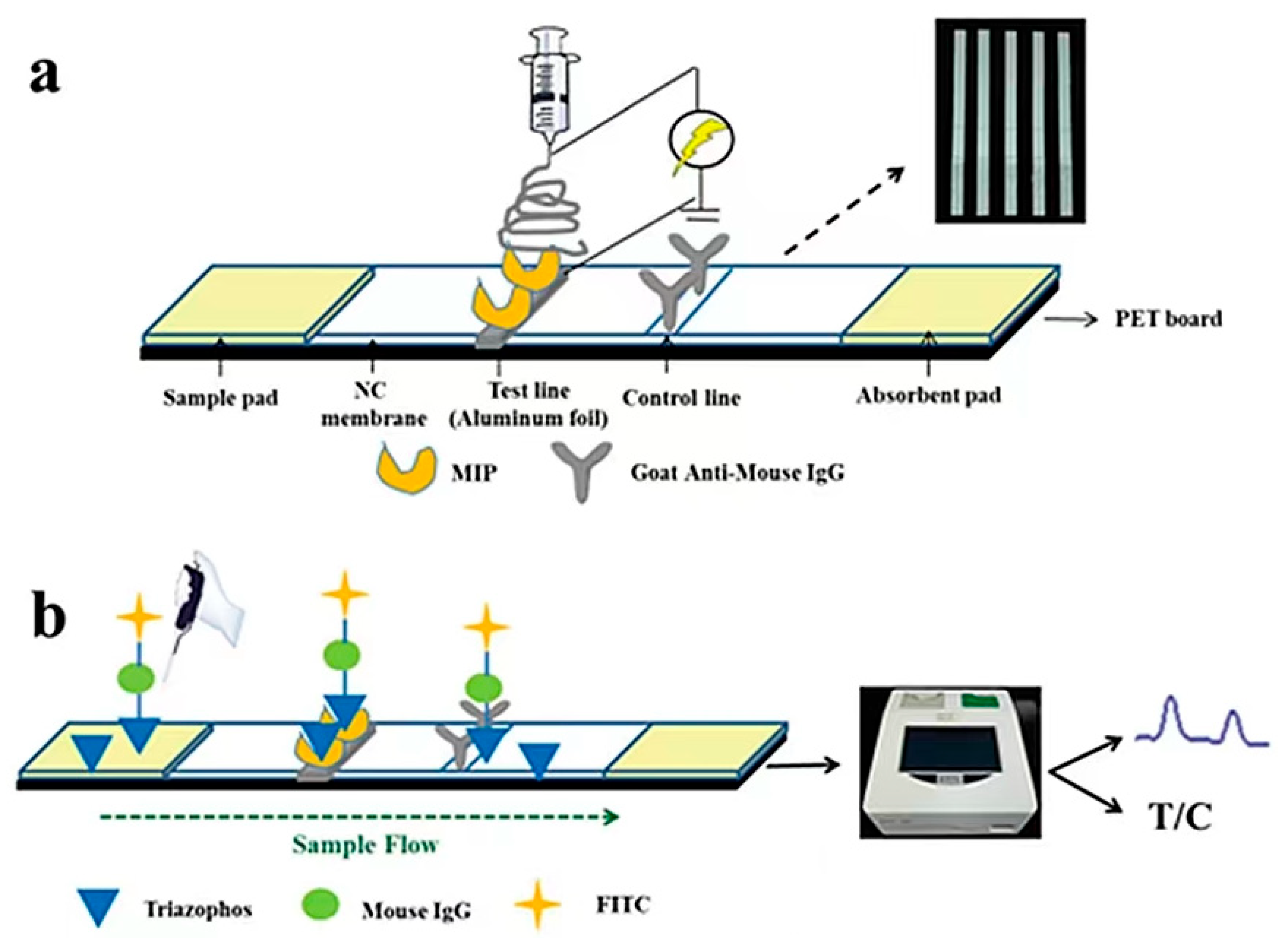 Biosensors 12 00402 g011