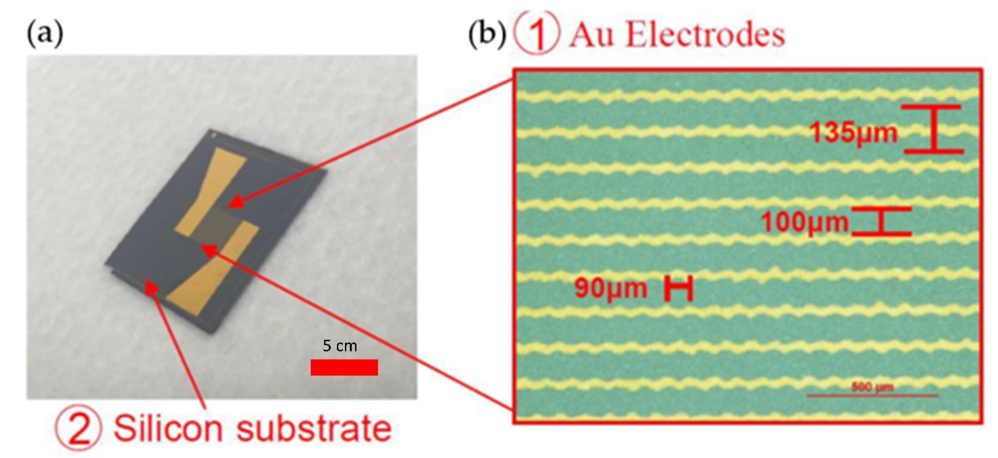 Biosensors 12 00405 g001