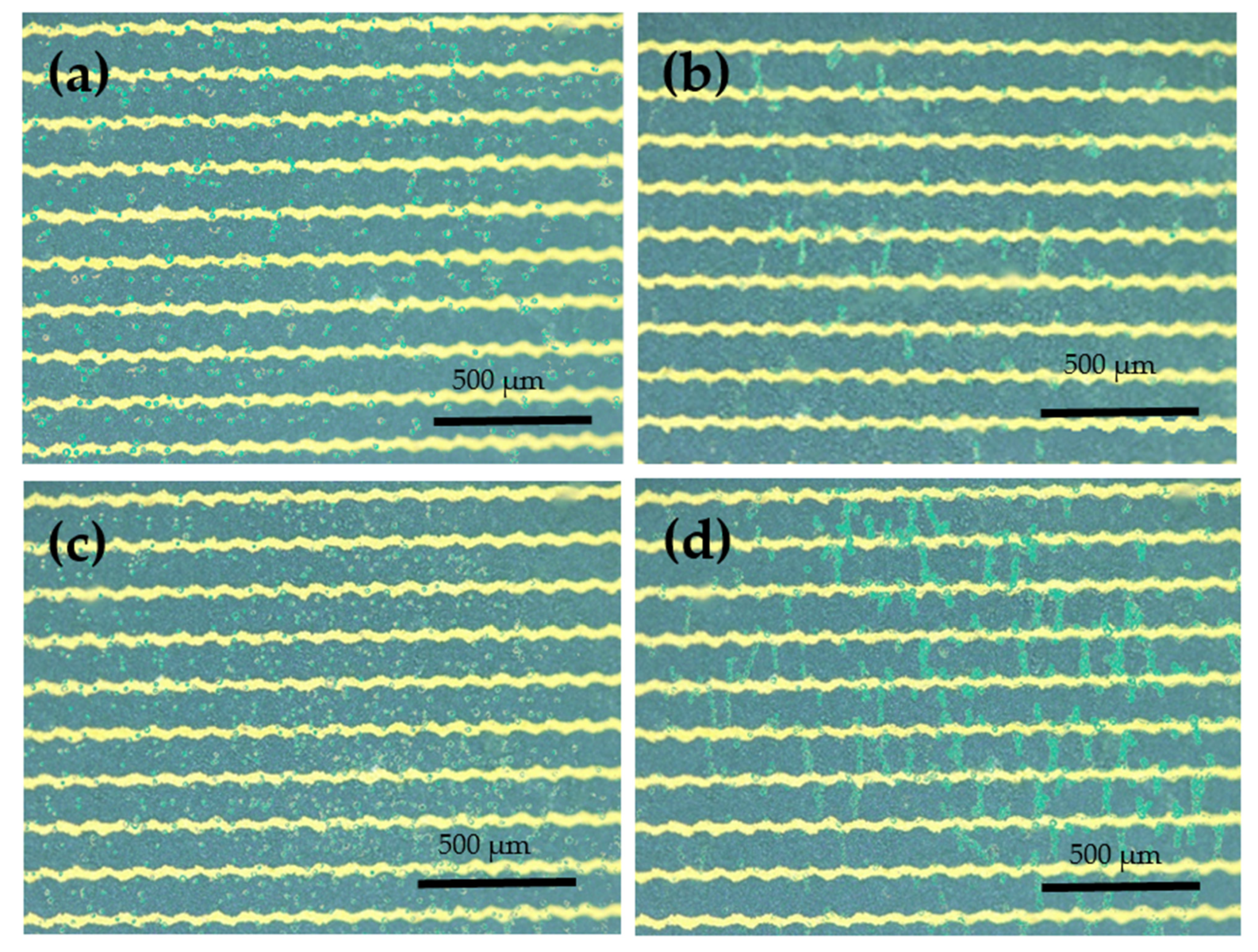 Biosensors 12 00405 g002