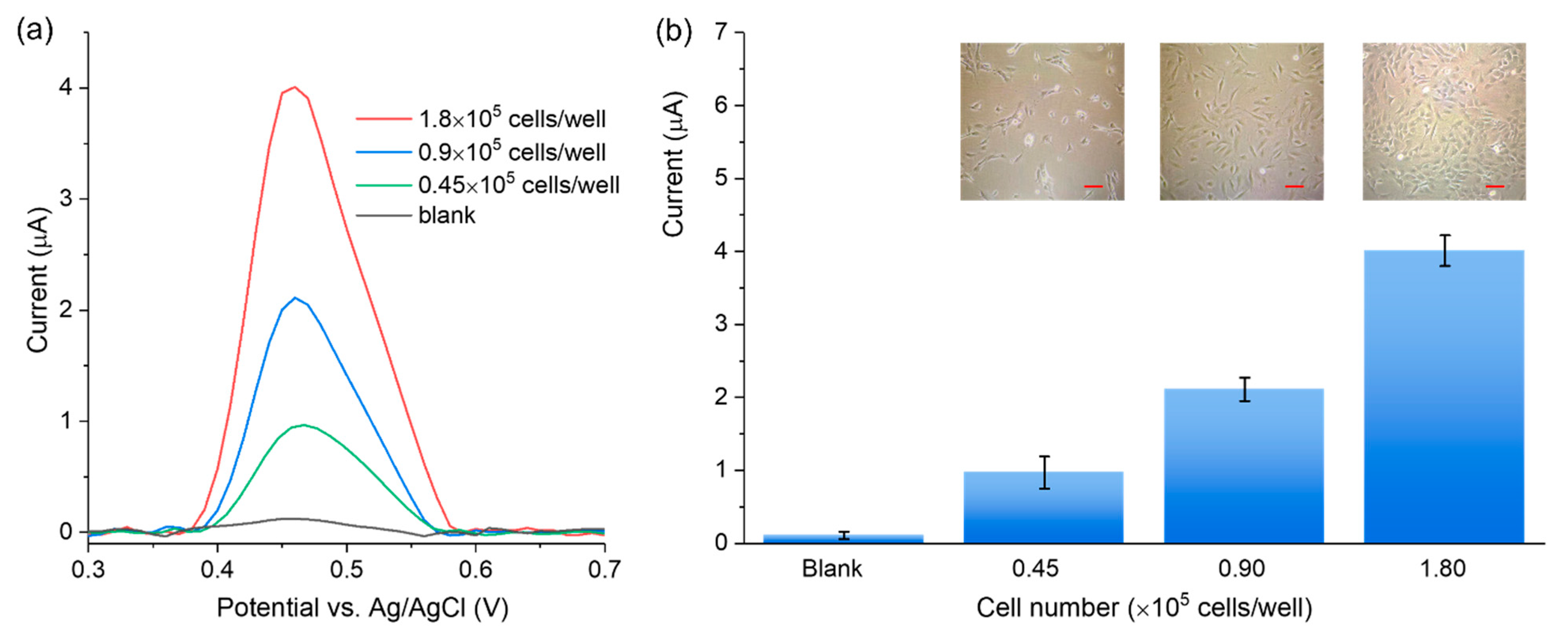 Biosensors 12 00406 g006 550