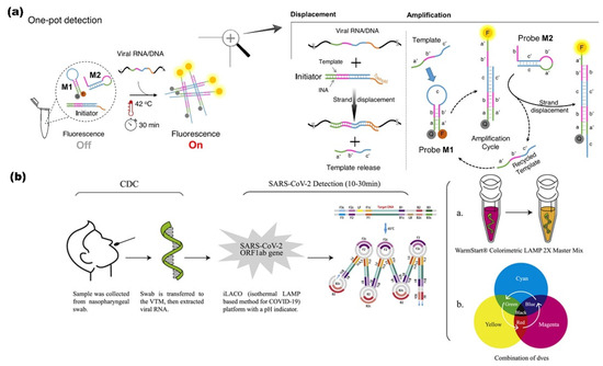 Advancements in Testing Strategies for COVID-19