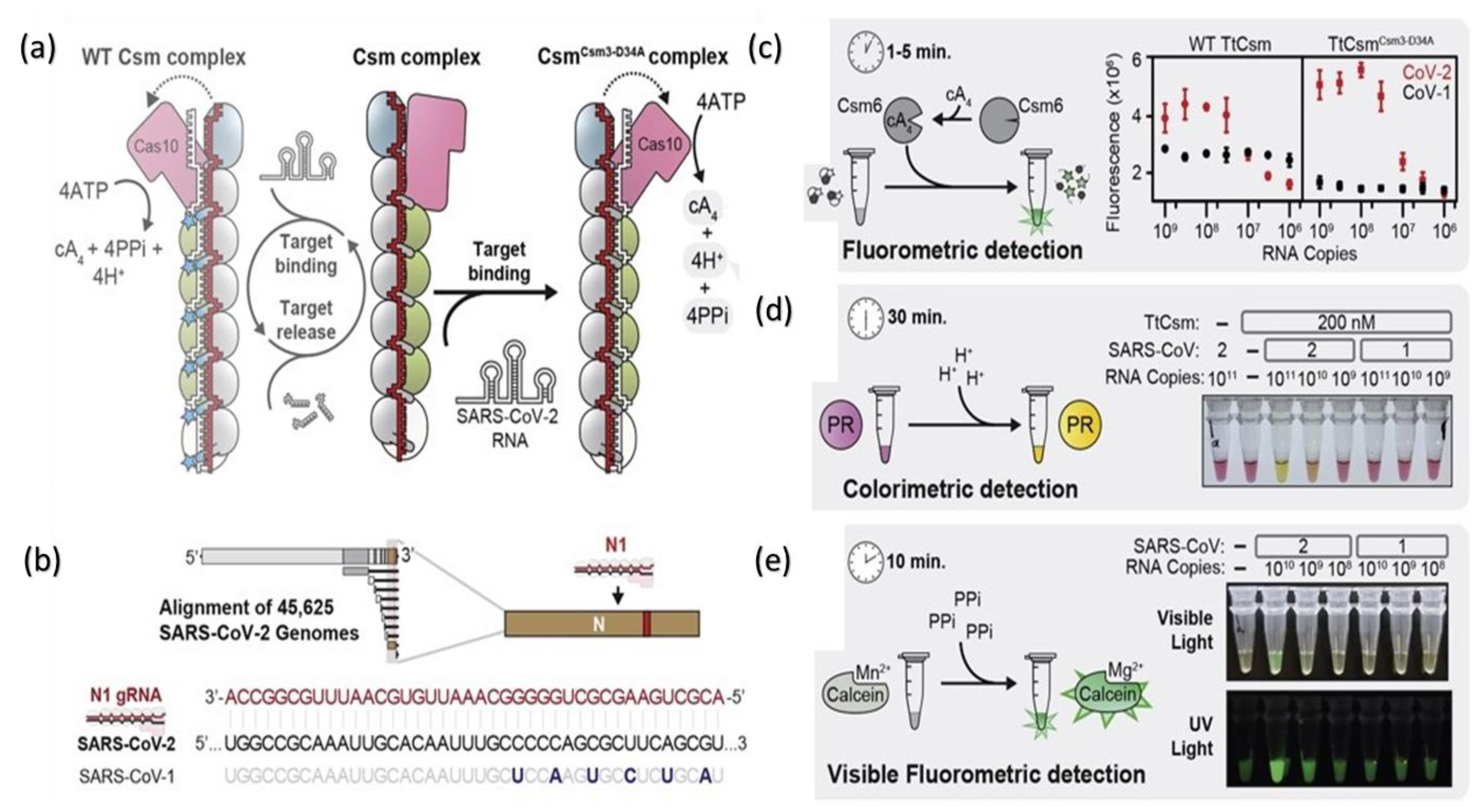 Biosensors 12 00410 g003