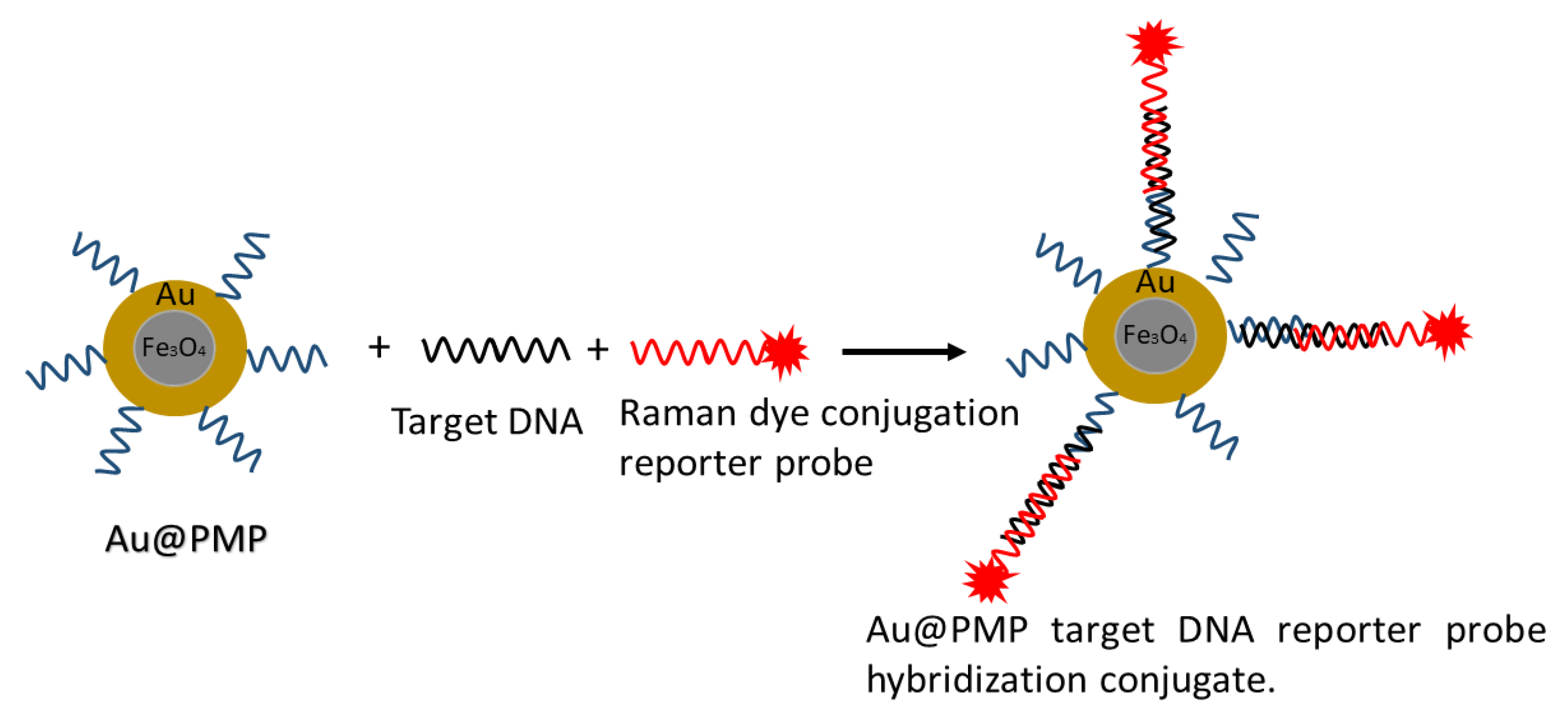 Biosensors 12 00410 g005