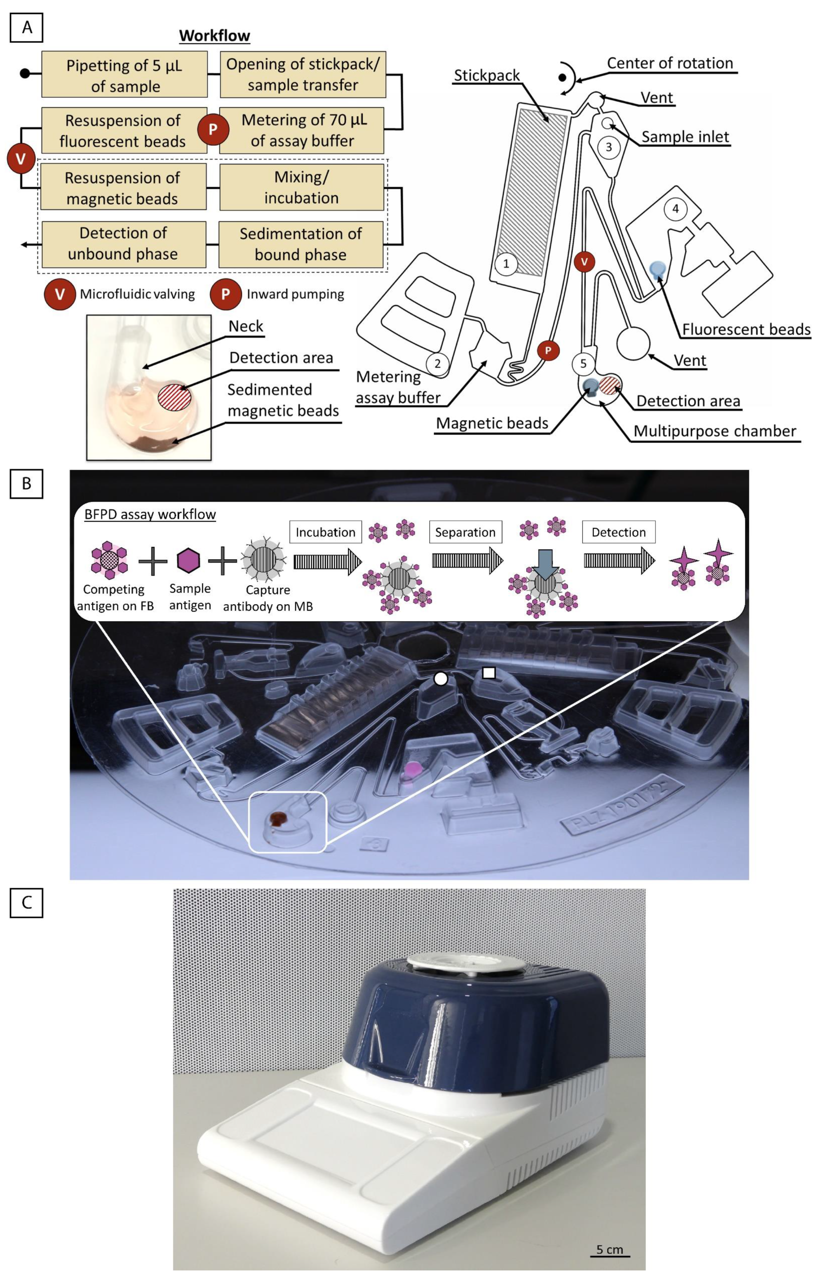 Biosensors 12 00413 g001 550
