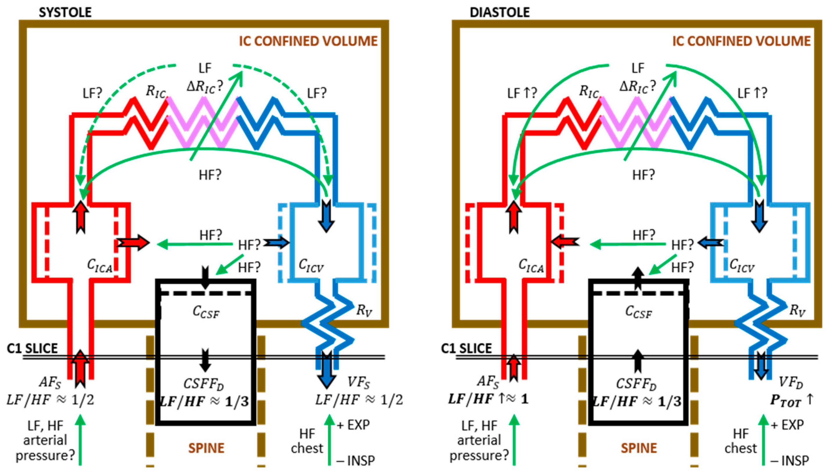 Biosensors 12 00417 g005