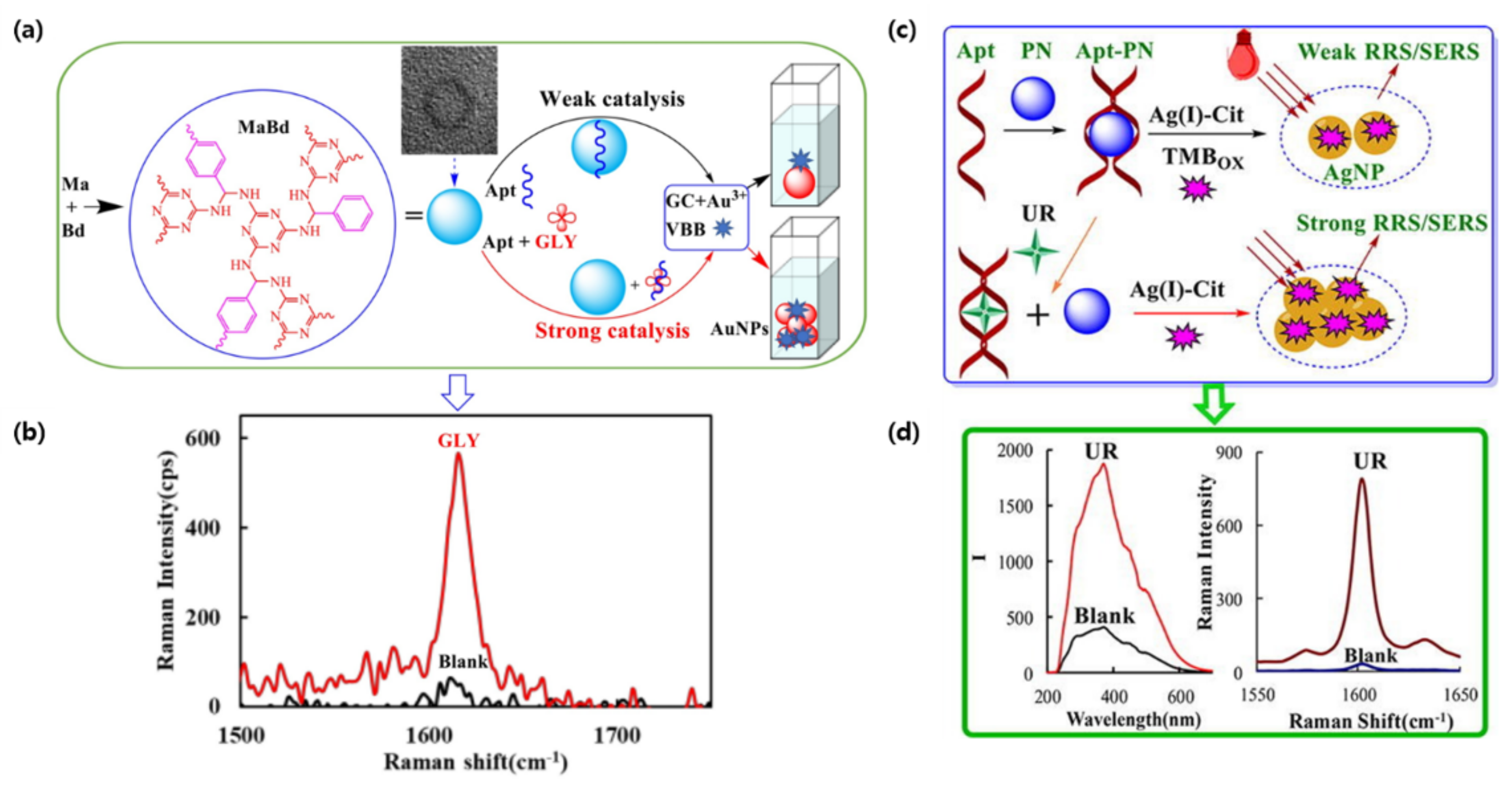 Biosensors 12 00418 g002