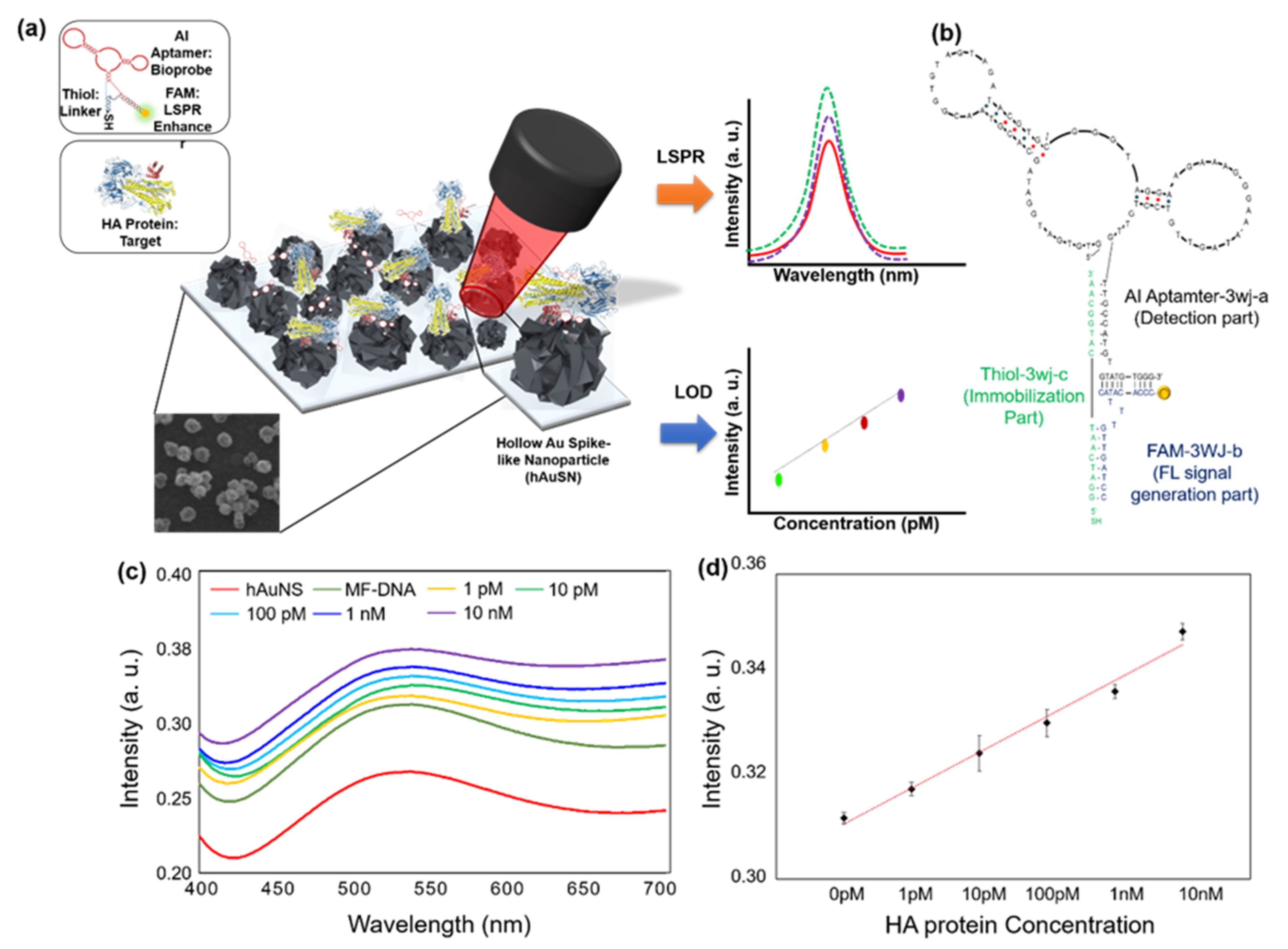 Biosensors 12 00418 g005