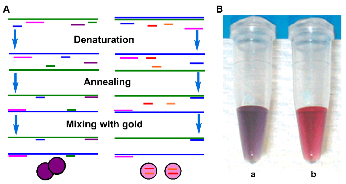 Biosensors 12 00421 g001