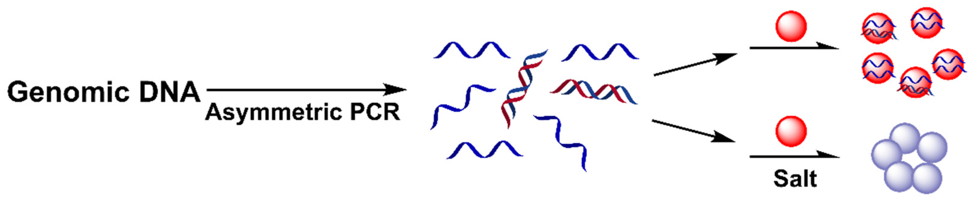 Biosensors 12 00421 g002