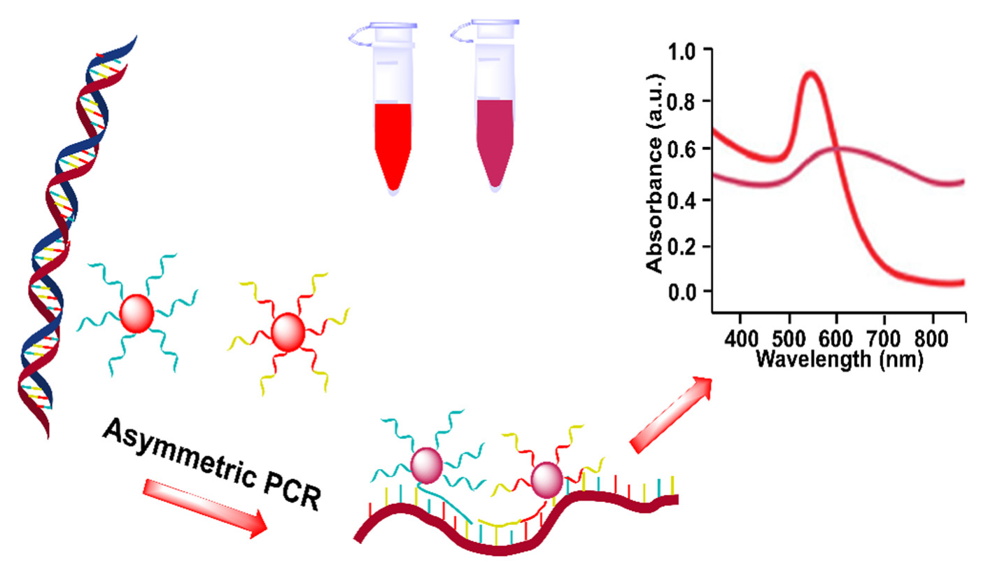 Biosensors 12 00421 g004