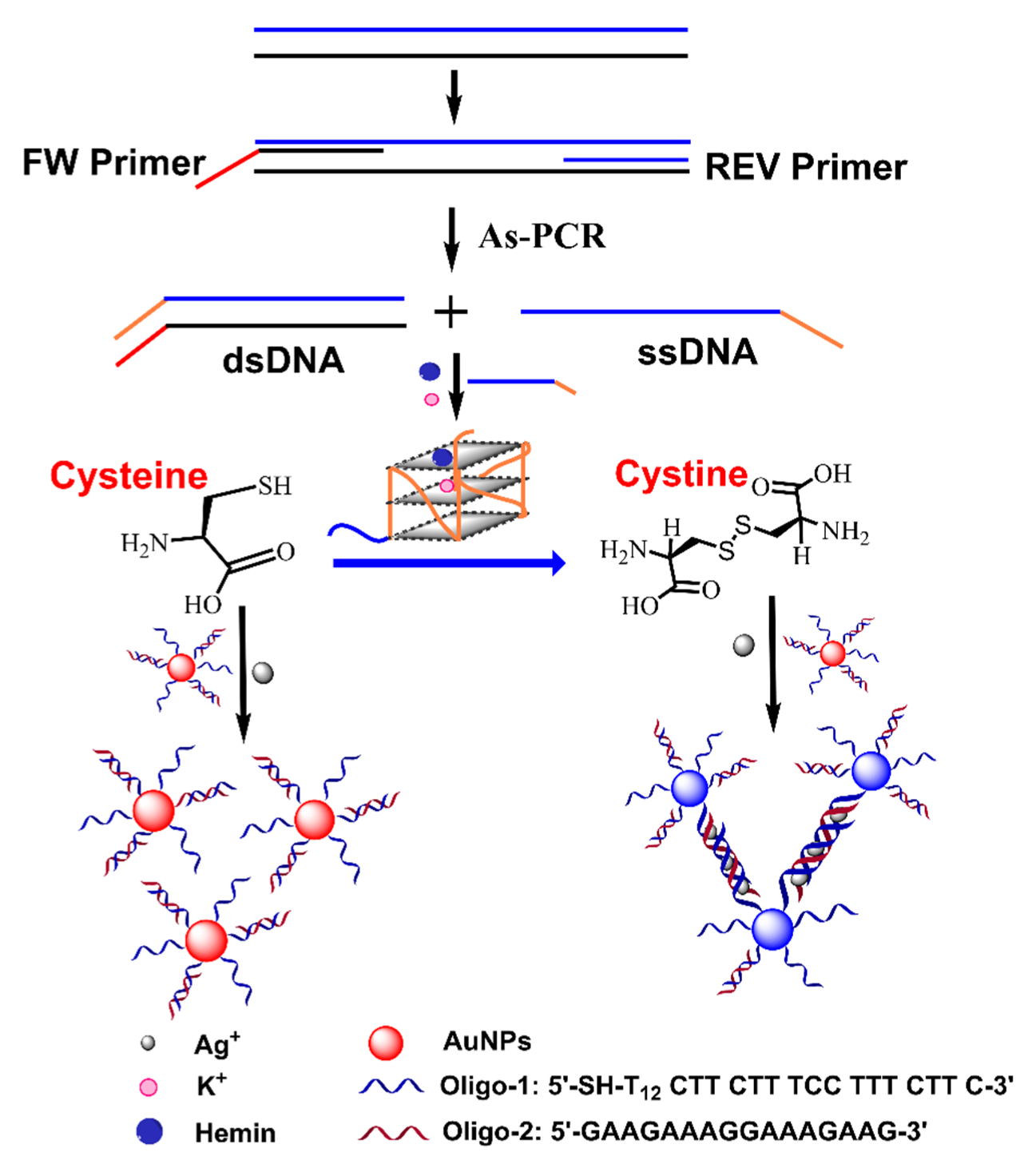 Biosensors 12 00421 g005