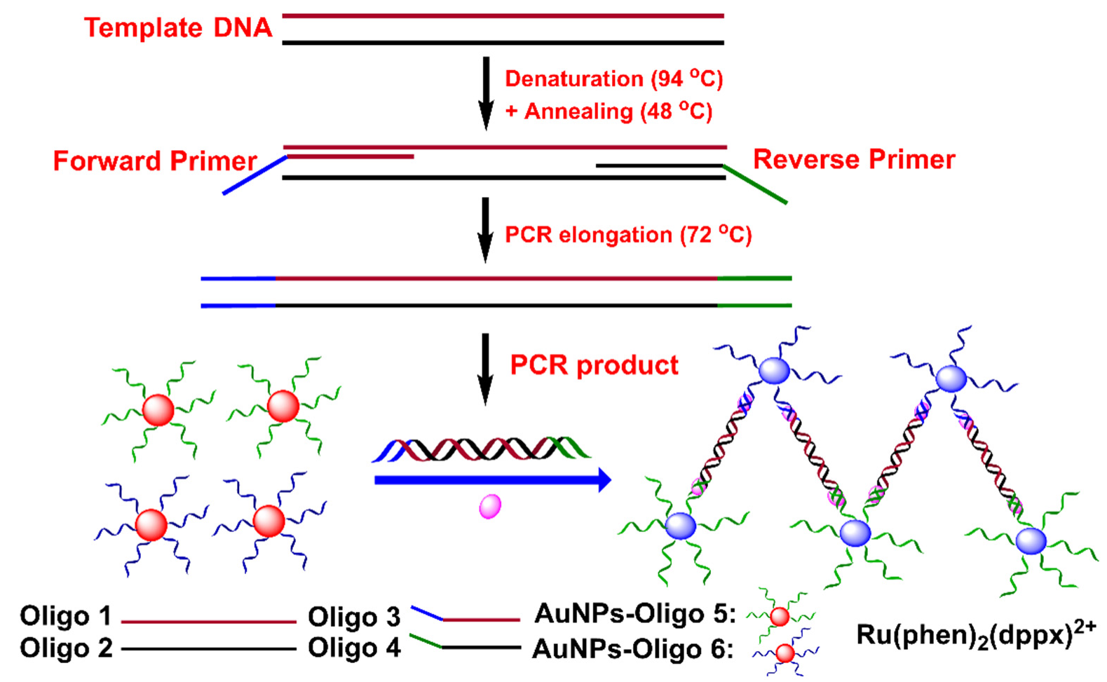Biosensors 12 00421 g006