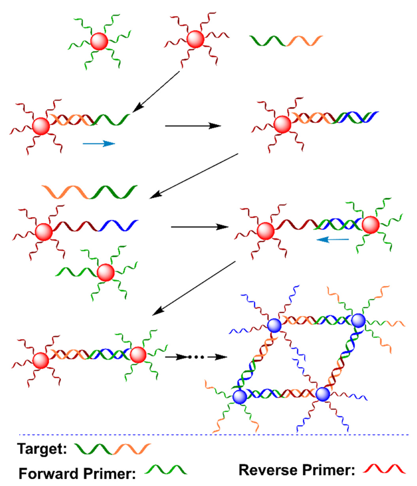 Biosensors 12 00421 g007