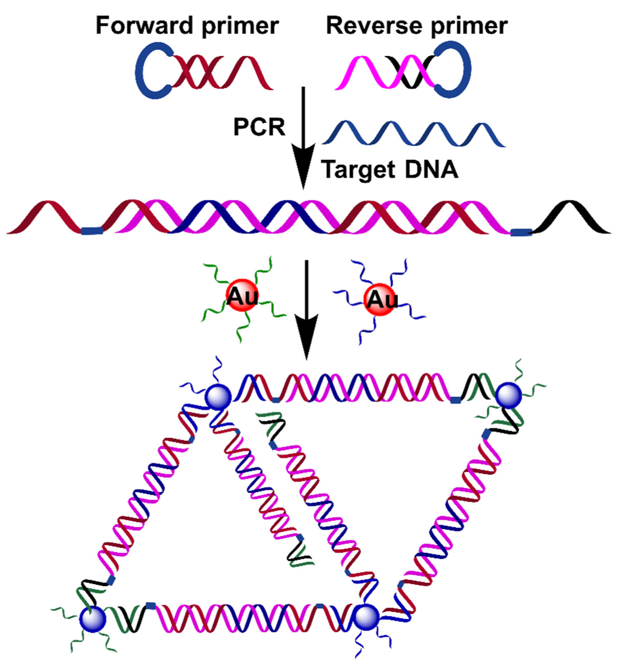 Biosensors 12 00421 g009