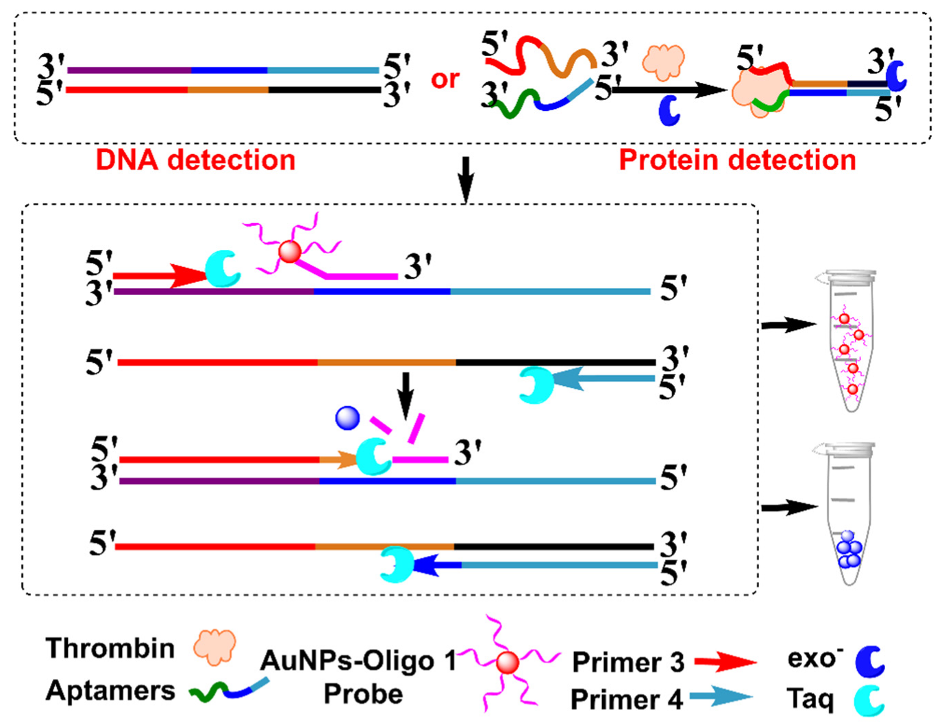 Biosensors 12 00421 g010