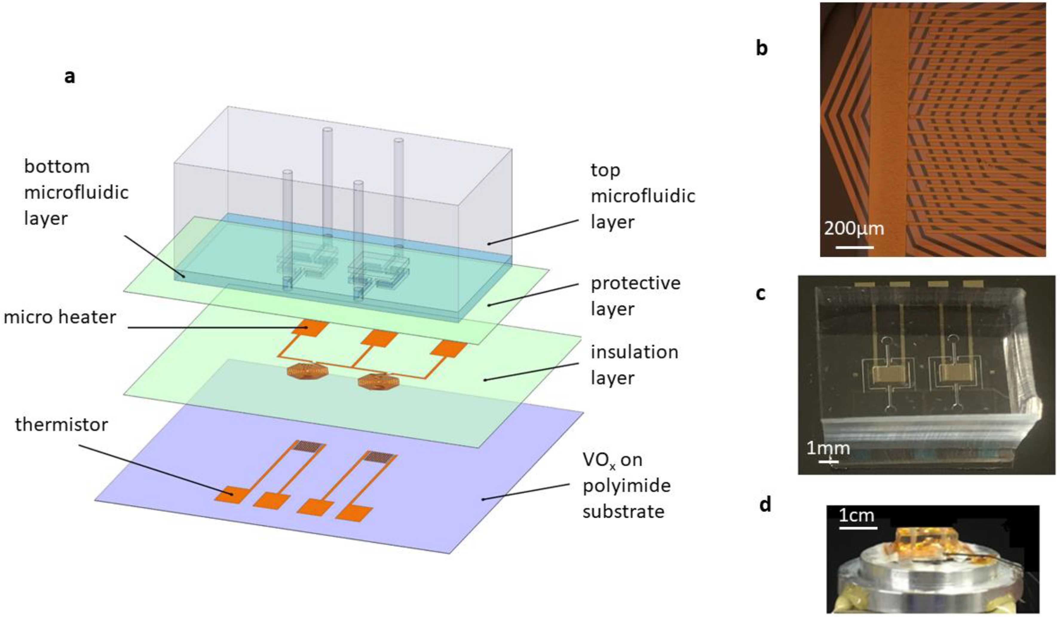 Biosensors 12 00422 g001 550