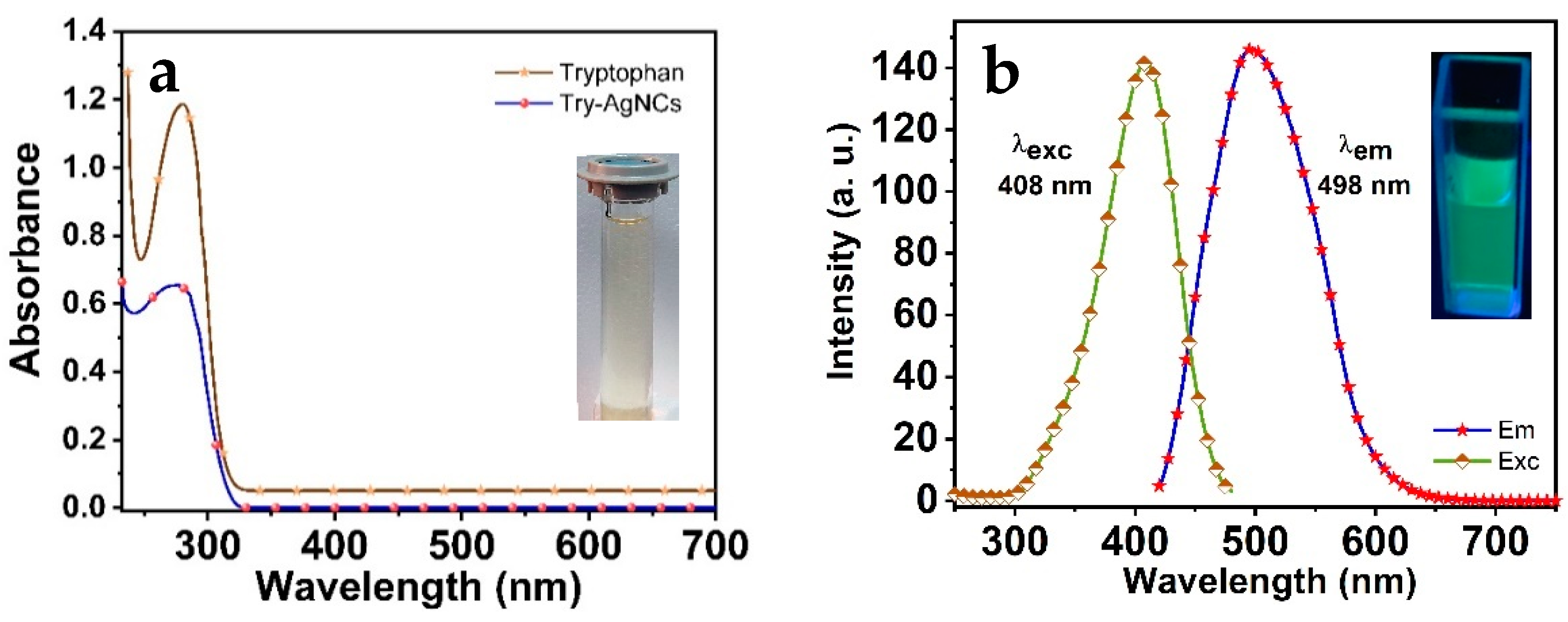 Biosensors 12 00425 g001