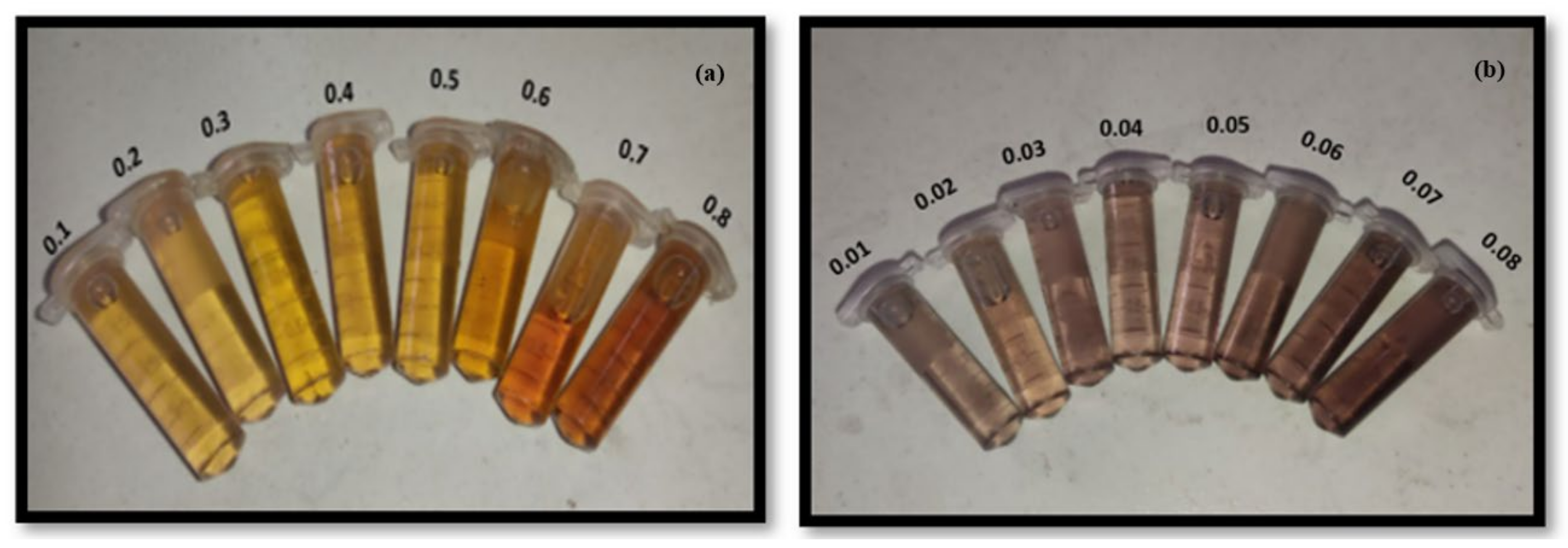 Biosensors 12 00428 g010
