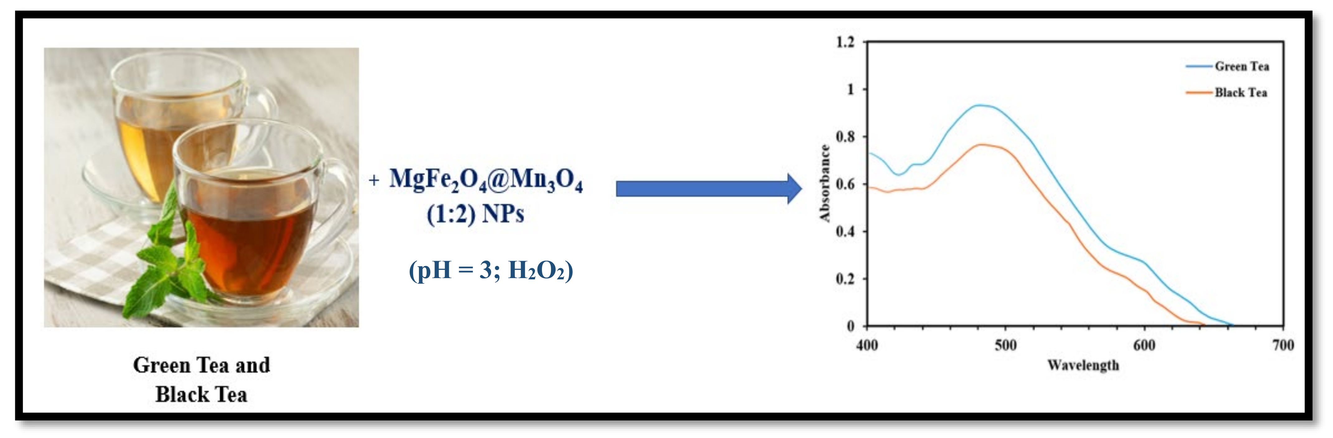 Biosensors 12 00428 g012