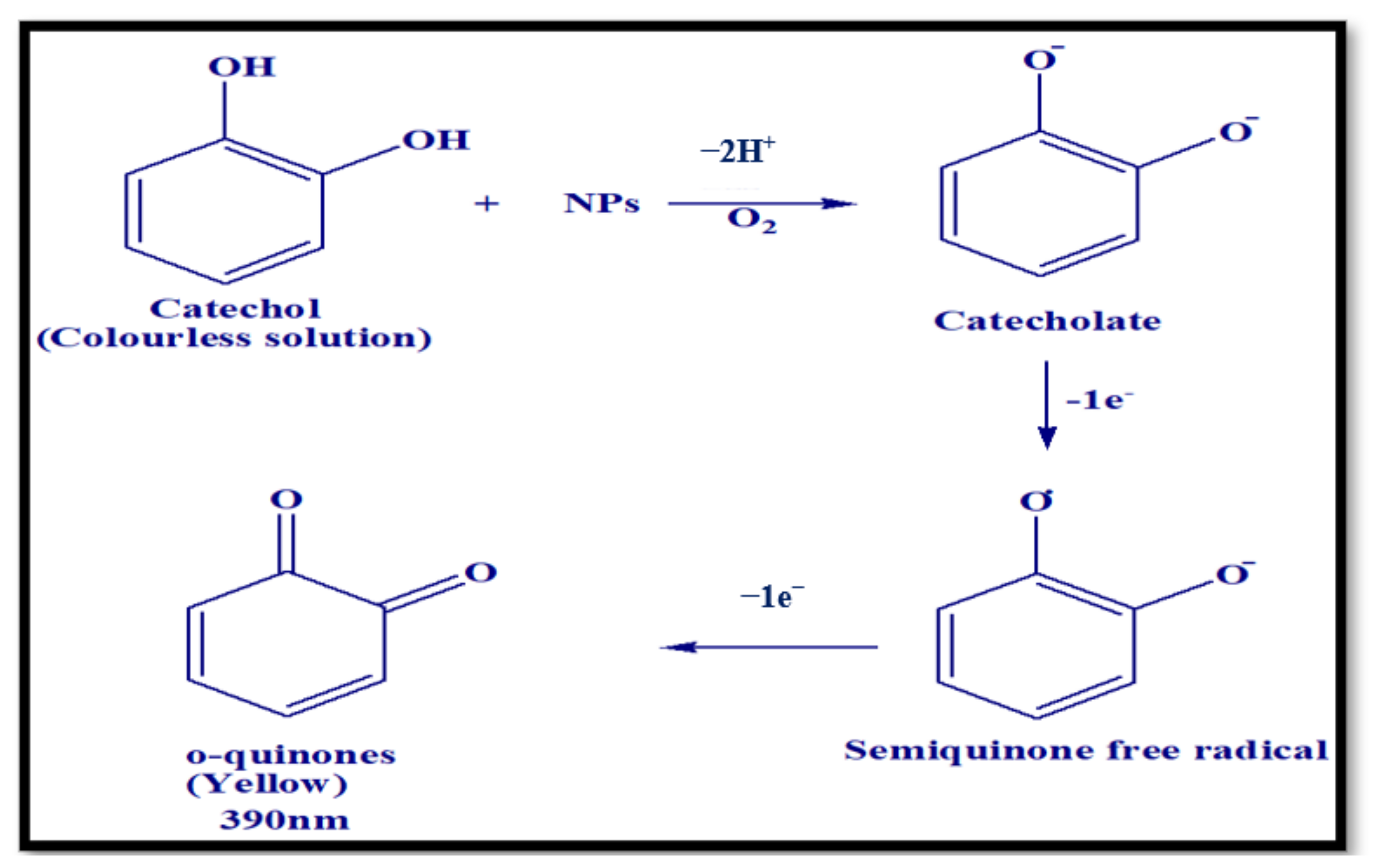Biosensors 12 00428 sch003