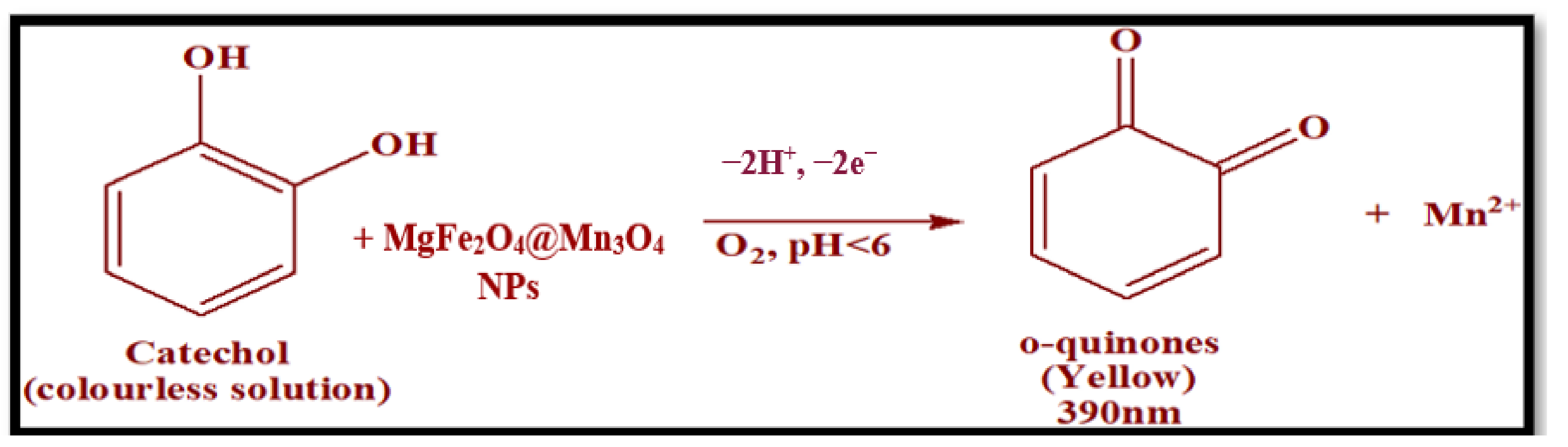 Biosensors 12 00428 sch004