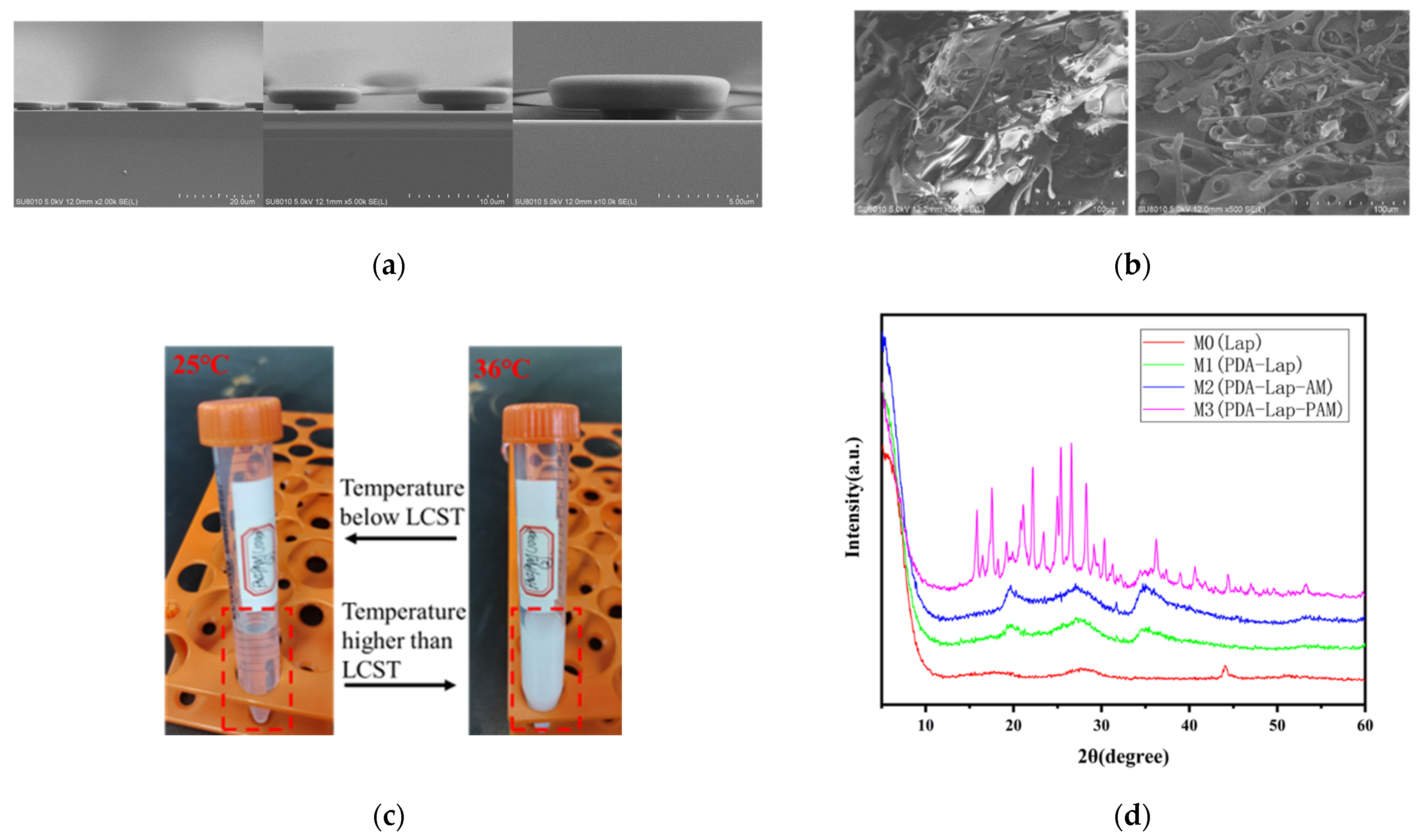 Biosensors 12 00431 g002 550