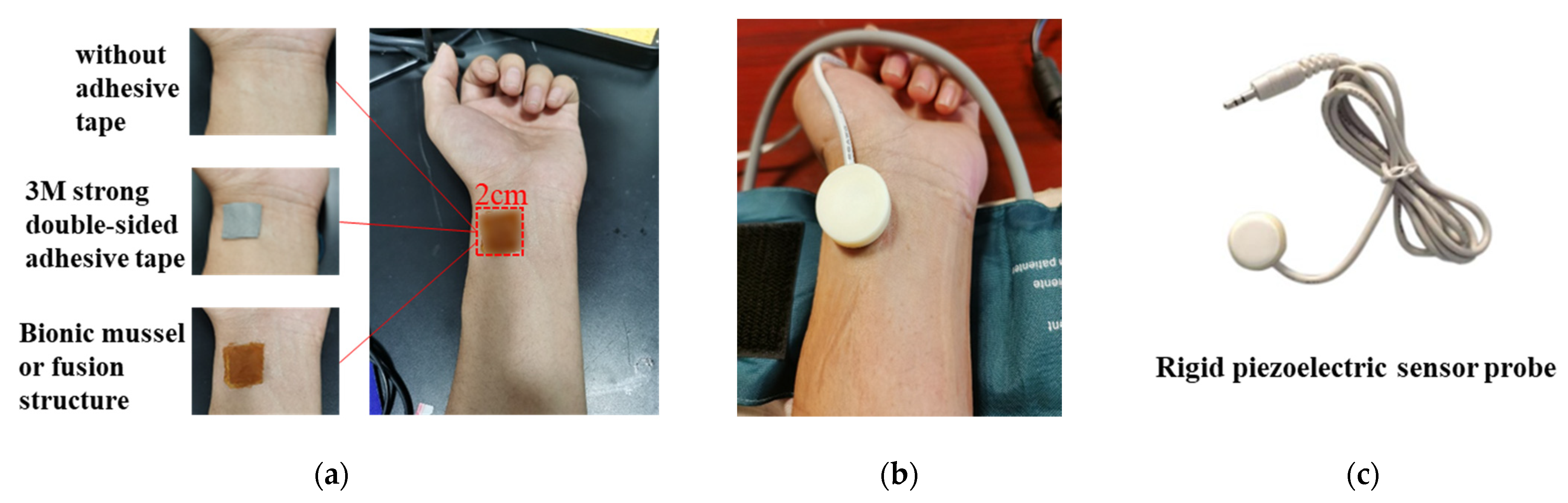 Biosensors 12 00431 g005 550