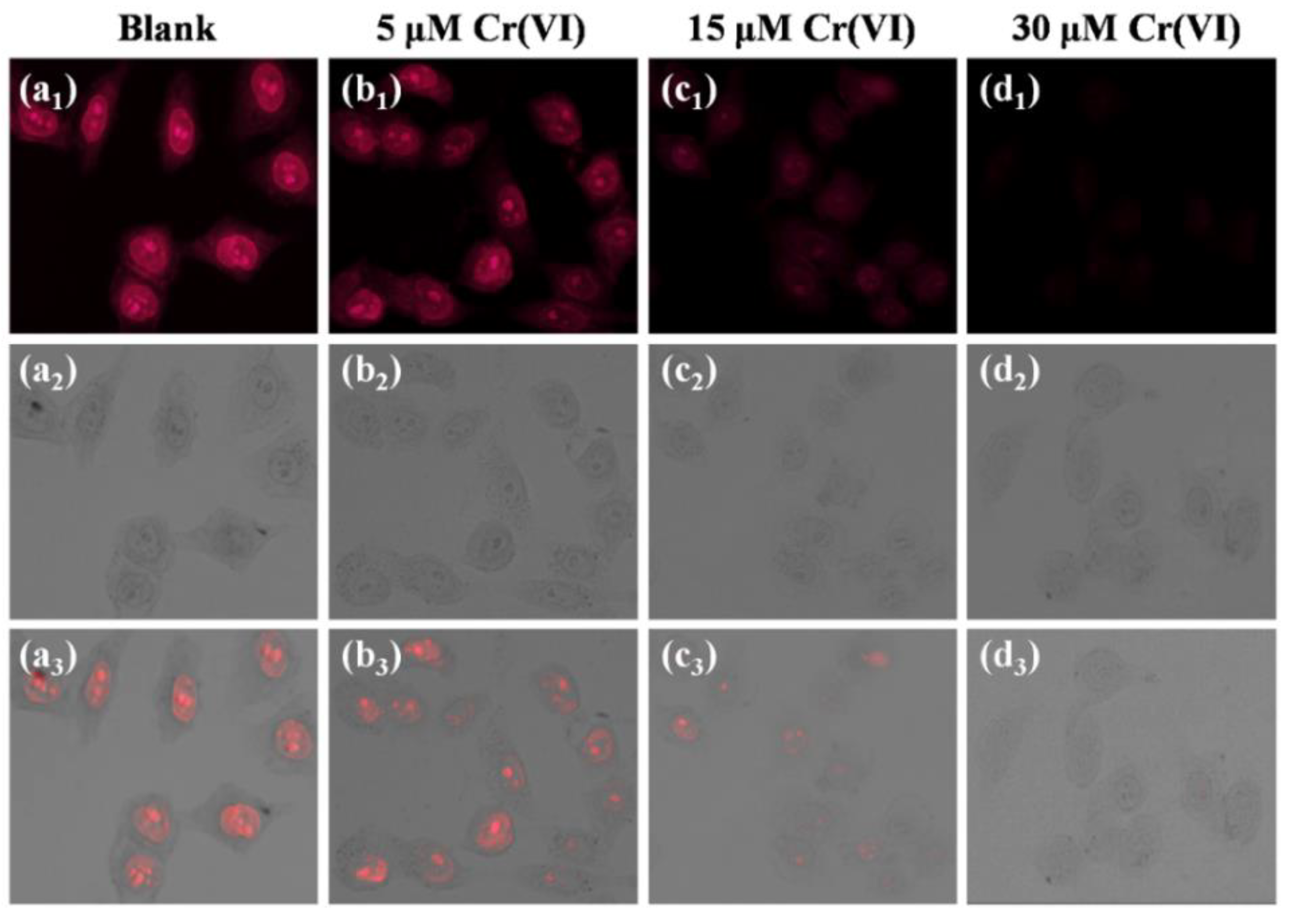 Biosensors 12 00432 g006