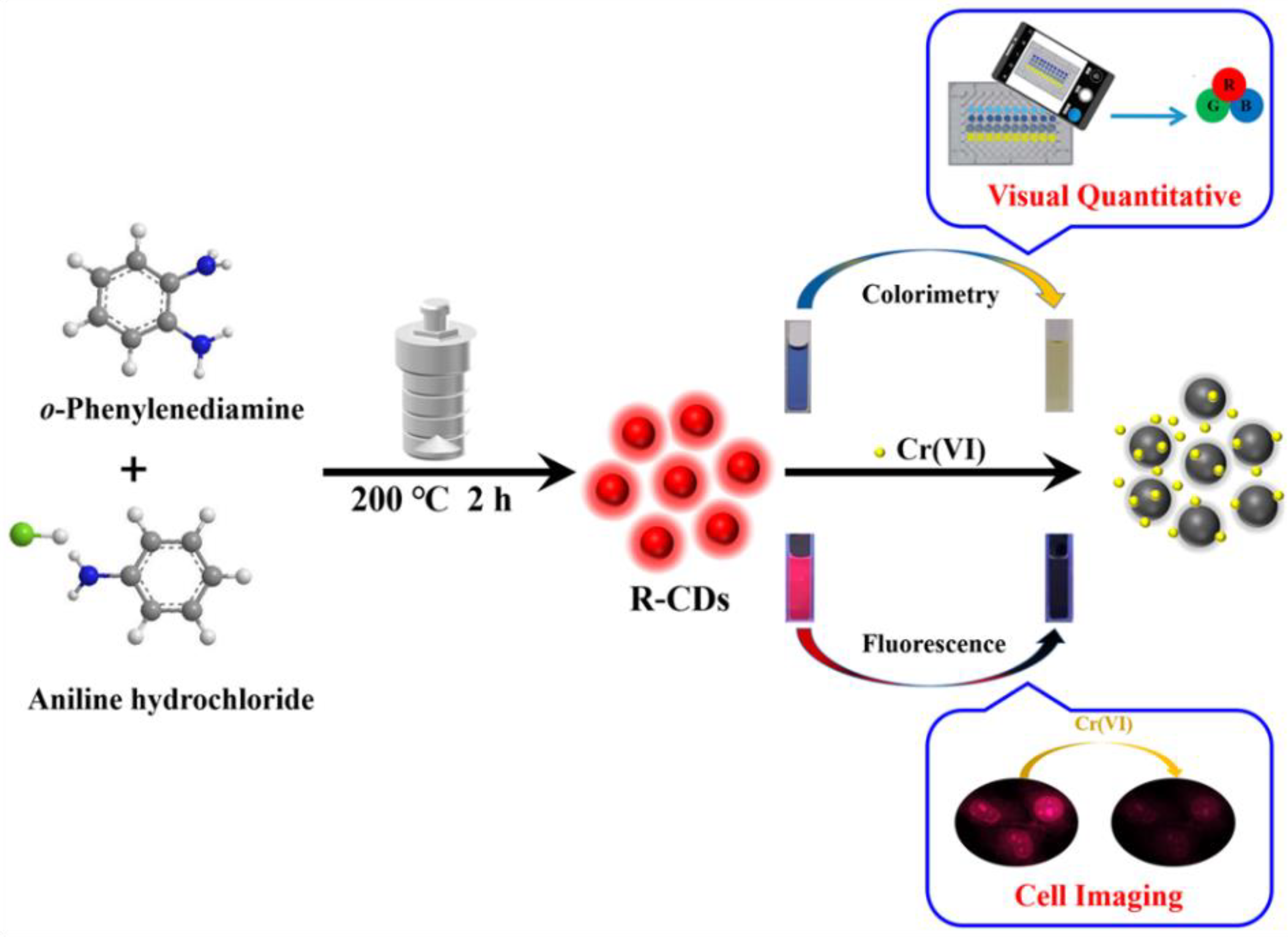 Biosensors 12 00432 sch001