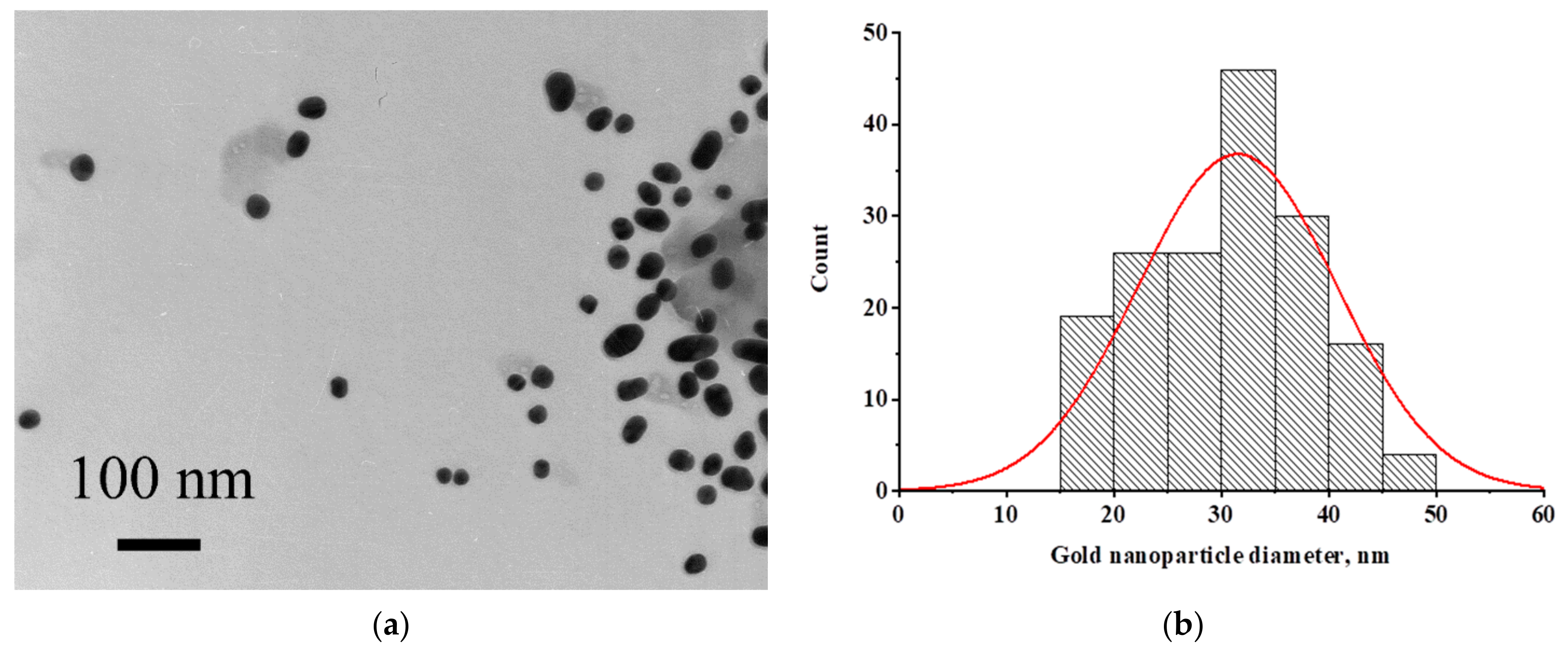 Biosensors 12 00434 g002 Biosensors 12 00434 g002