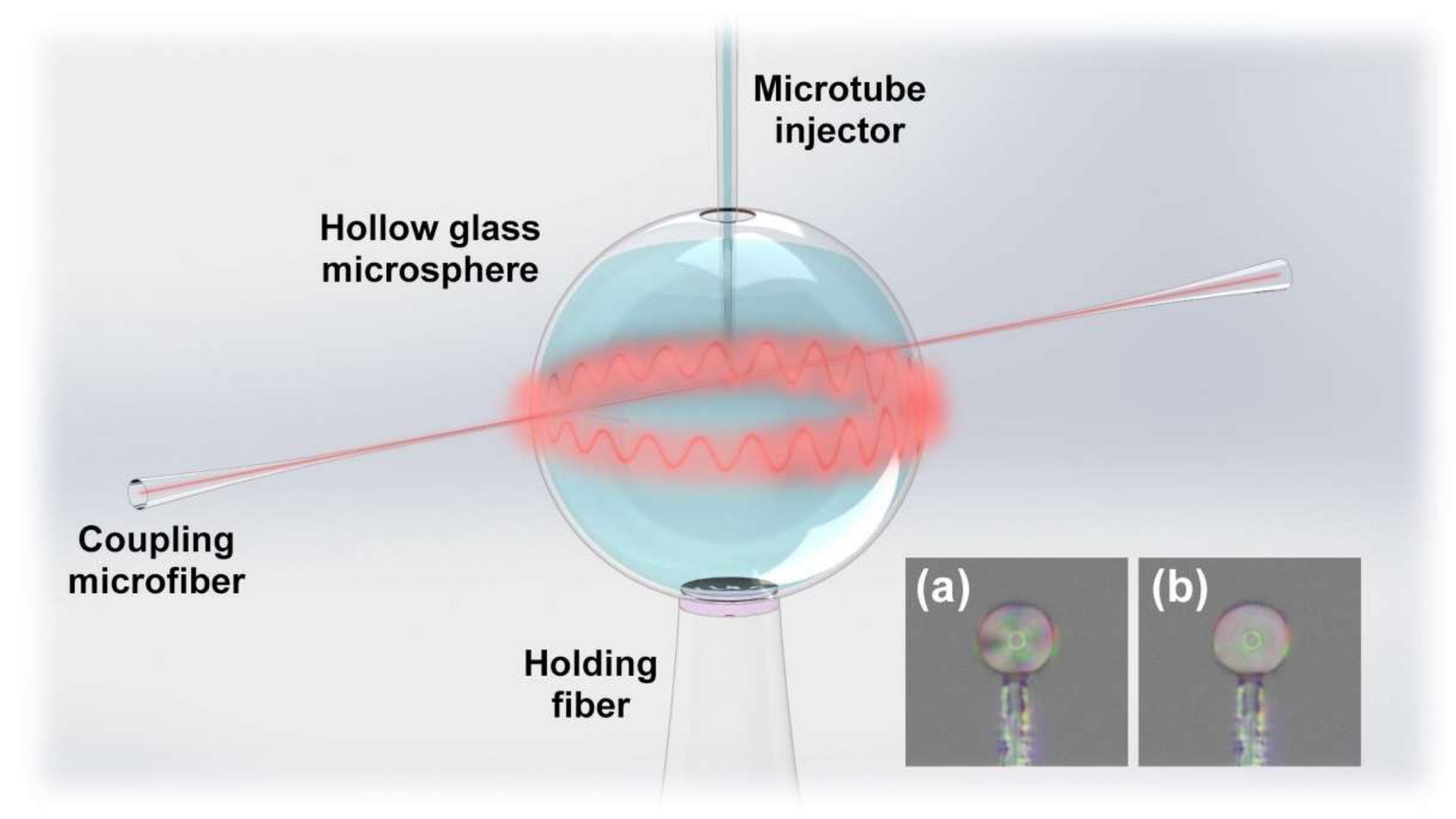 Biosensors 12 00439 g001