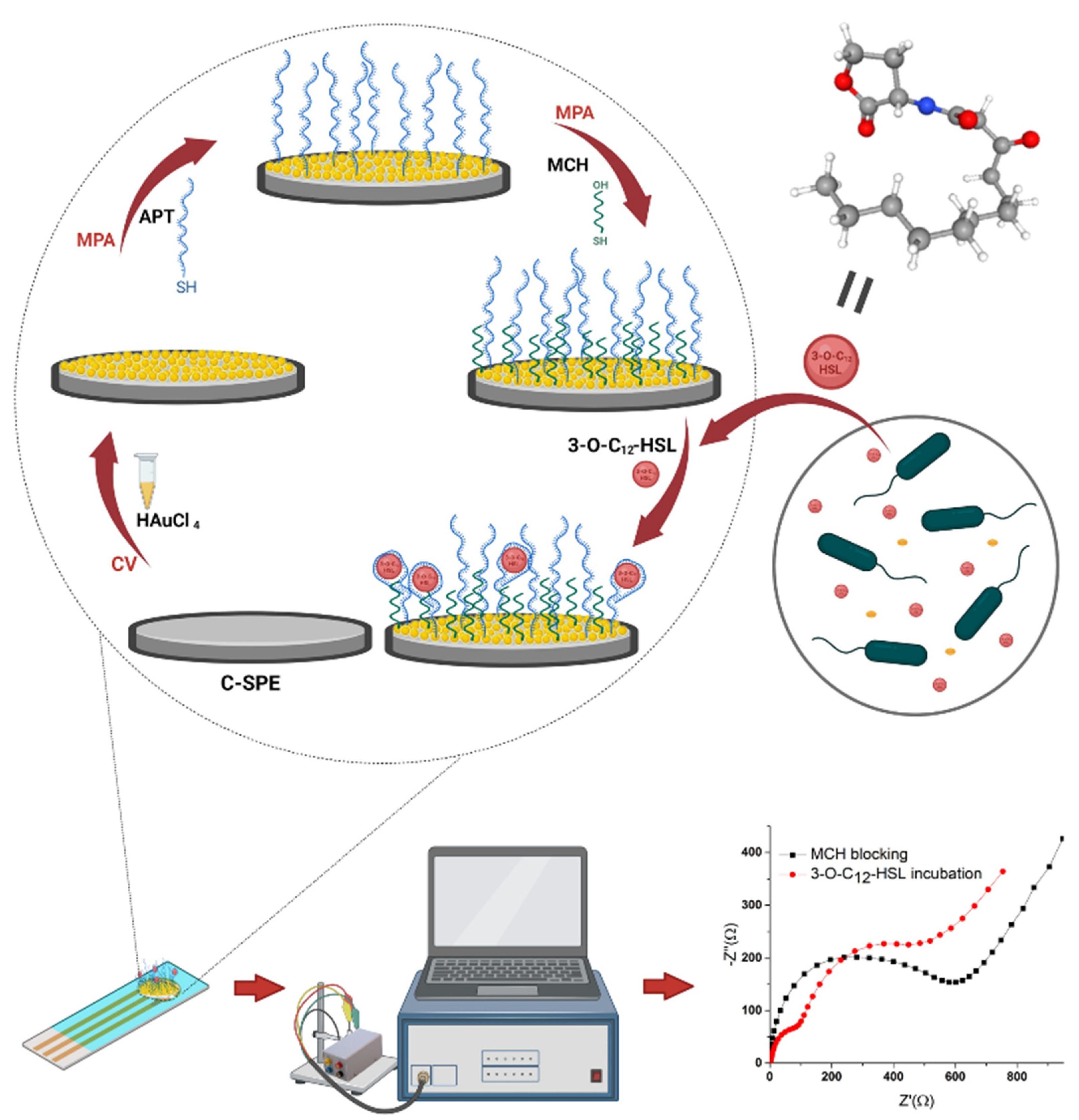 Biosensors 12 00440 g001 550